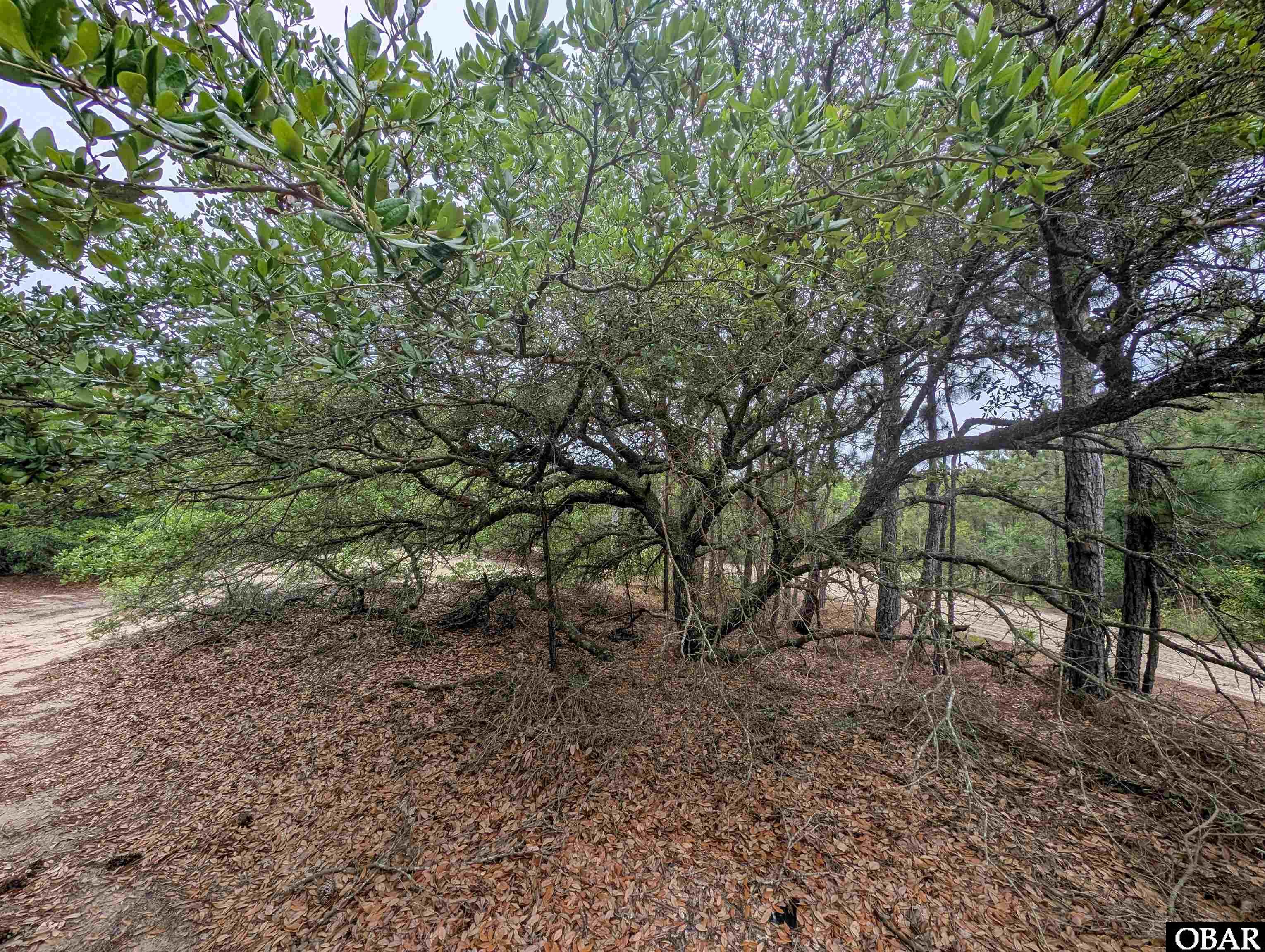 407 Red Snapper Lane Lot #6