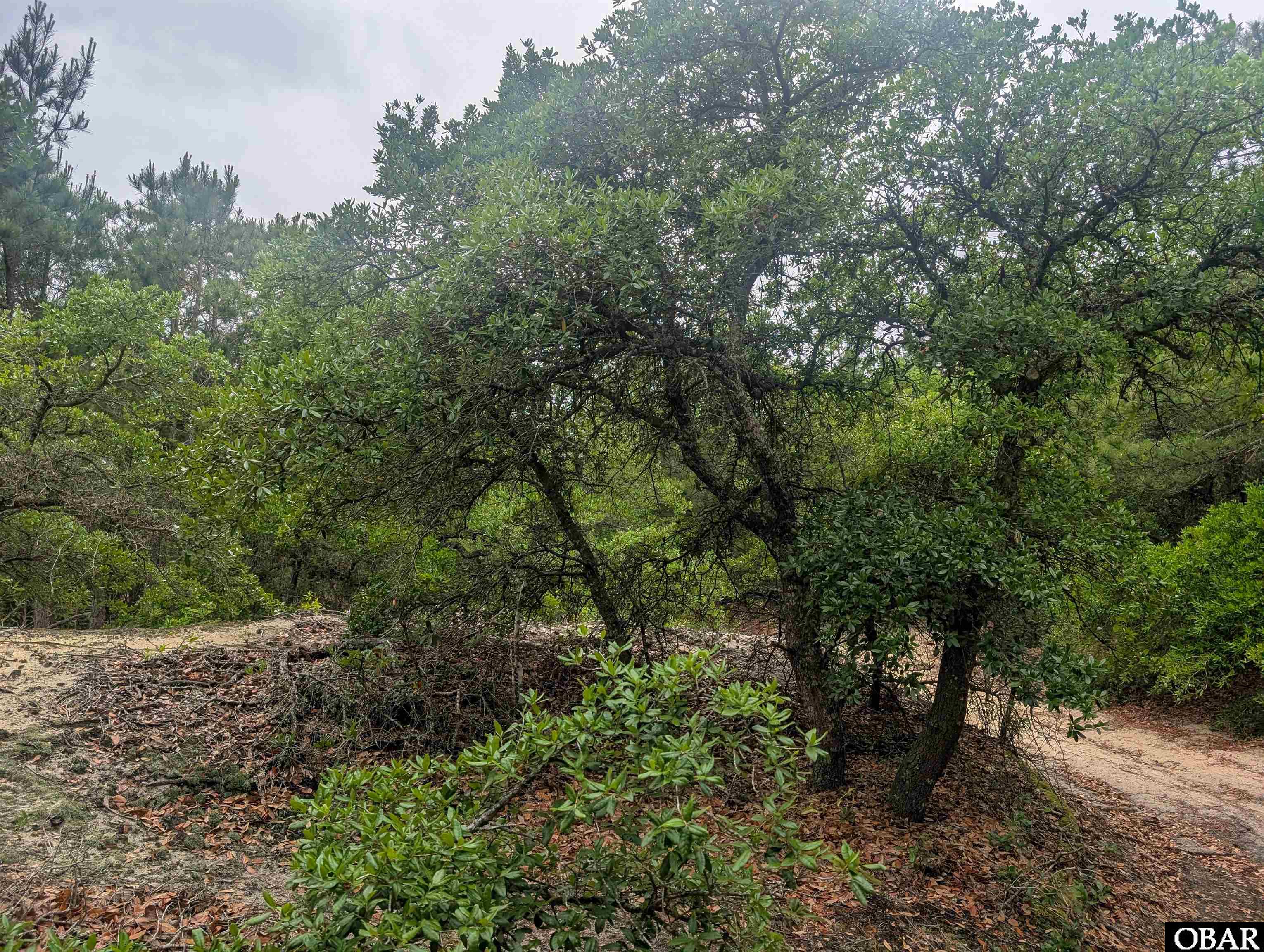 407 Red Snapper Lane Lot #6