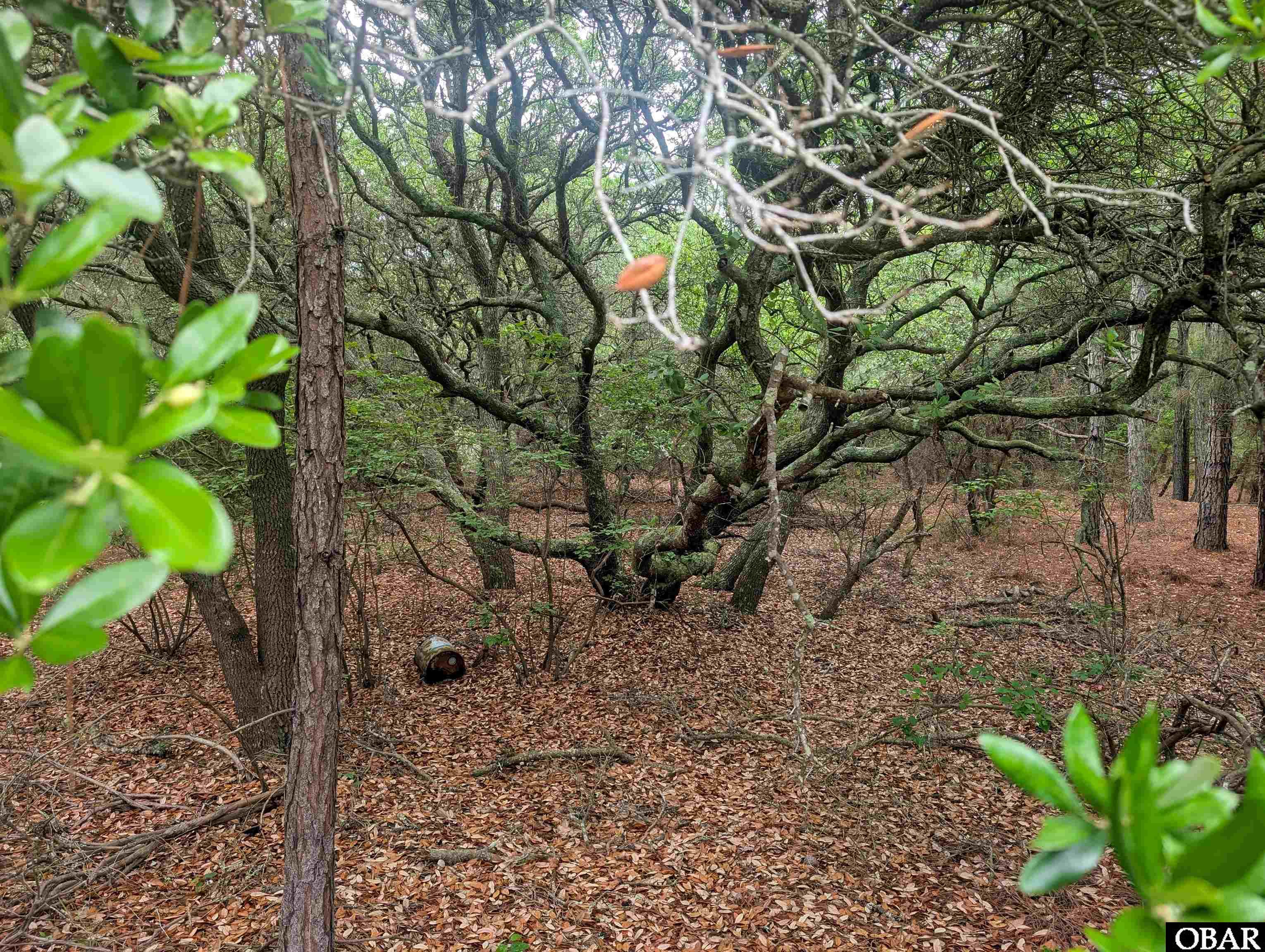 407 Red Snapper Lane Lot #6