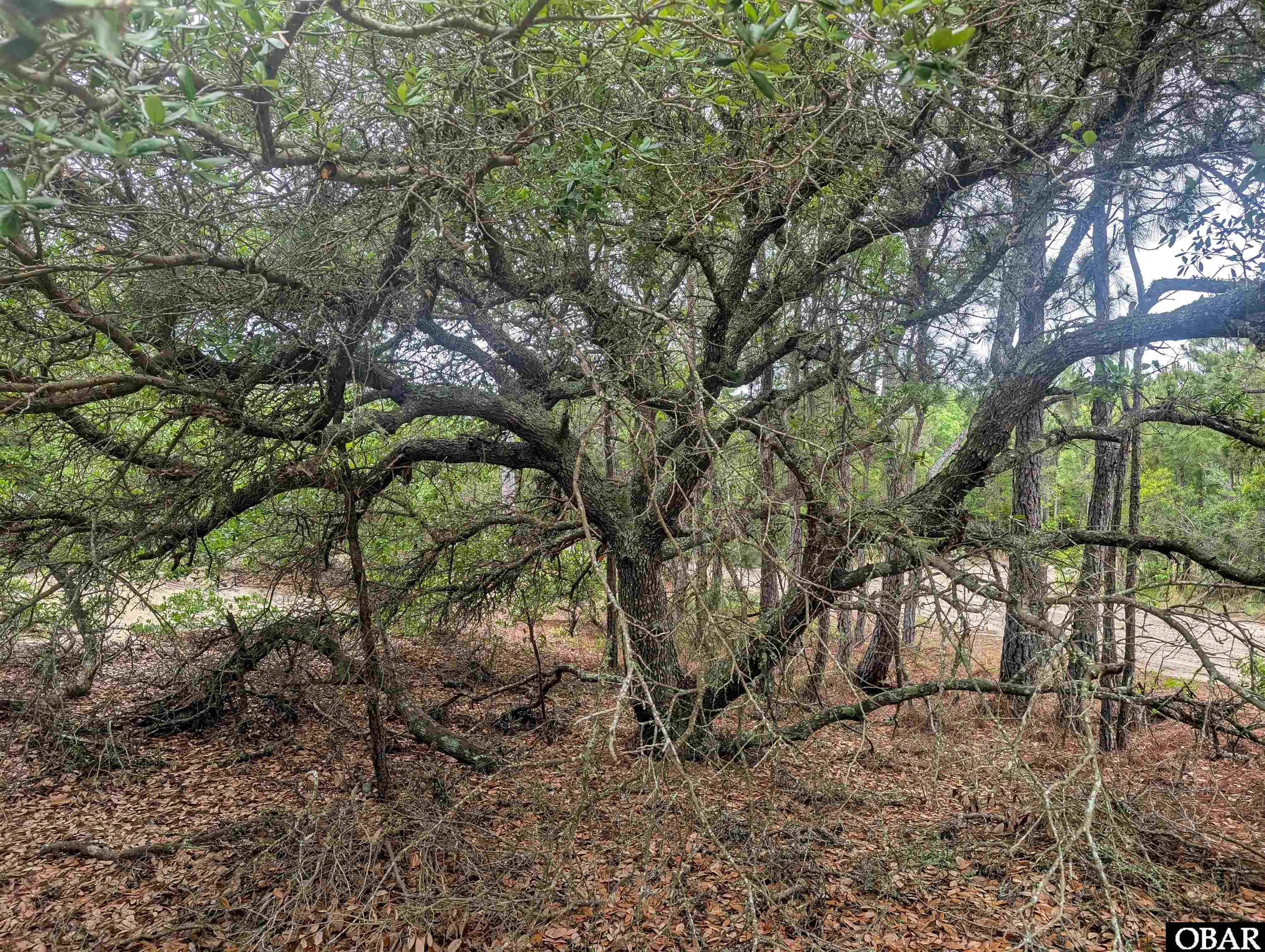 407 Red Snapper Lane Lot #6