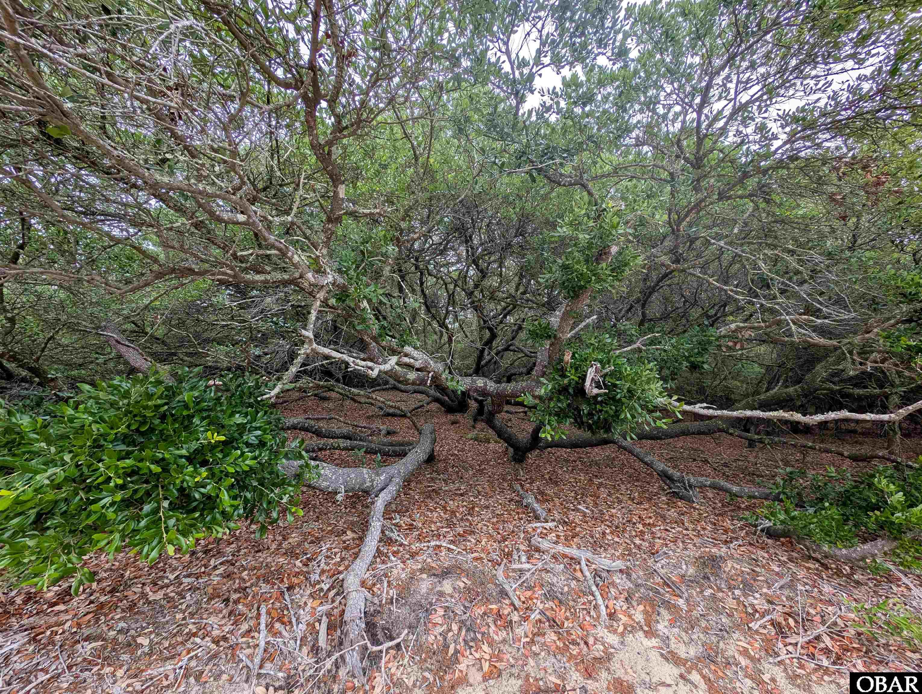 501 Red Snapper Lane Lot #7