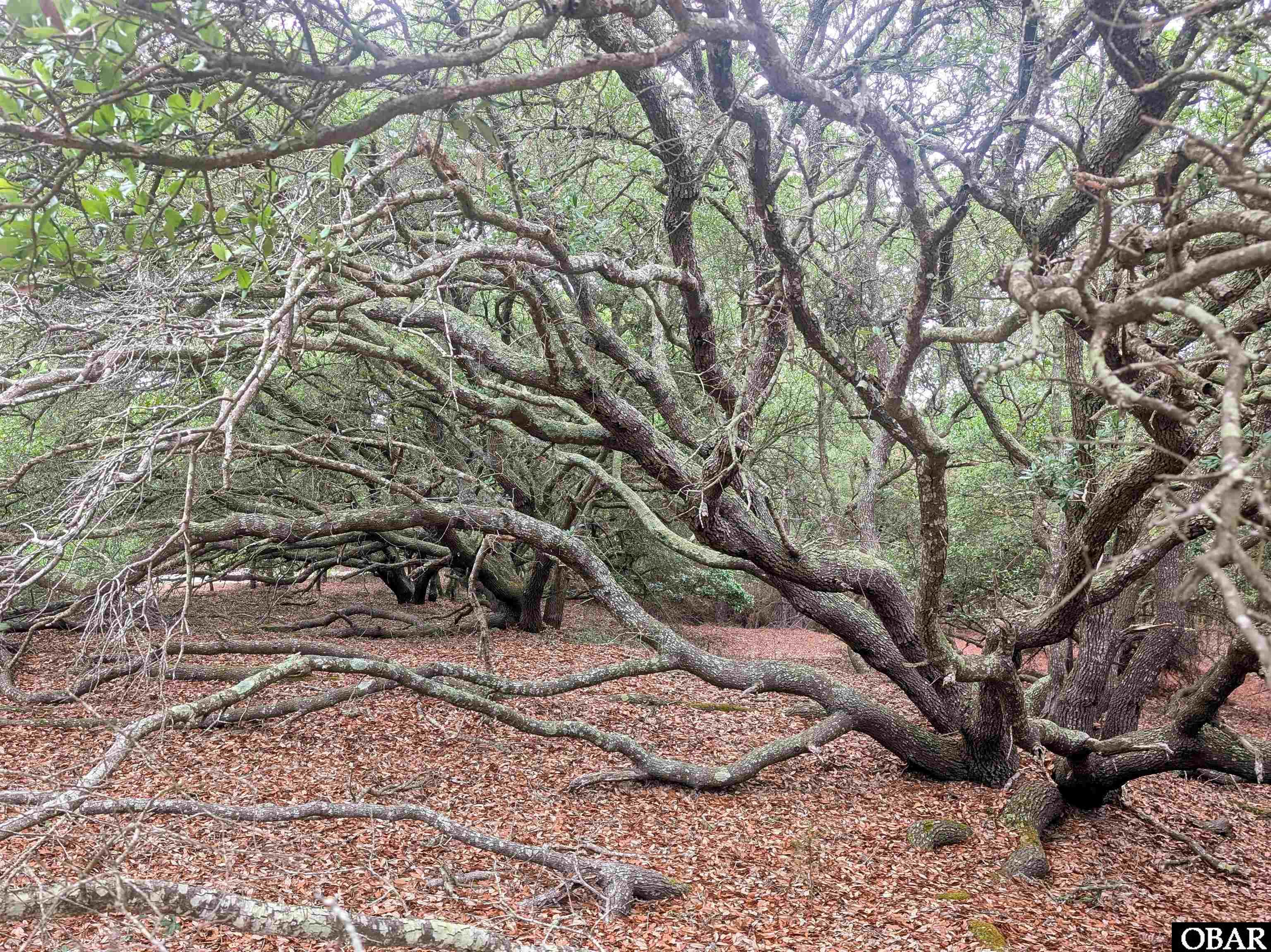 501 Red Snapper Lane Lot #7