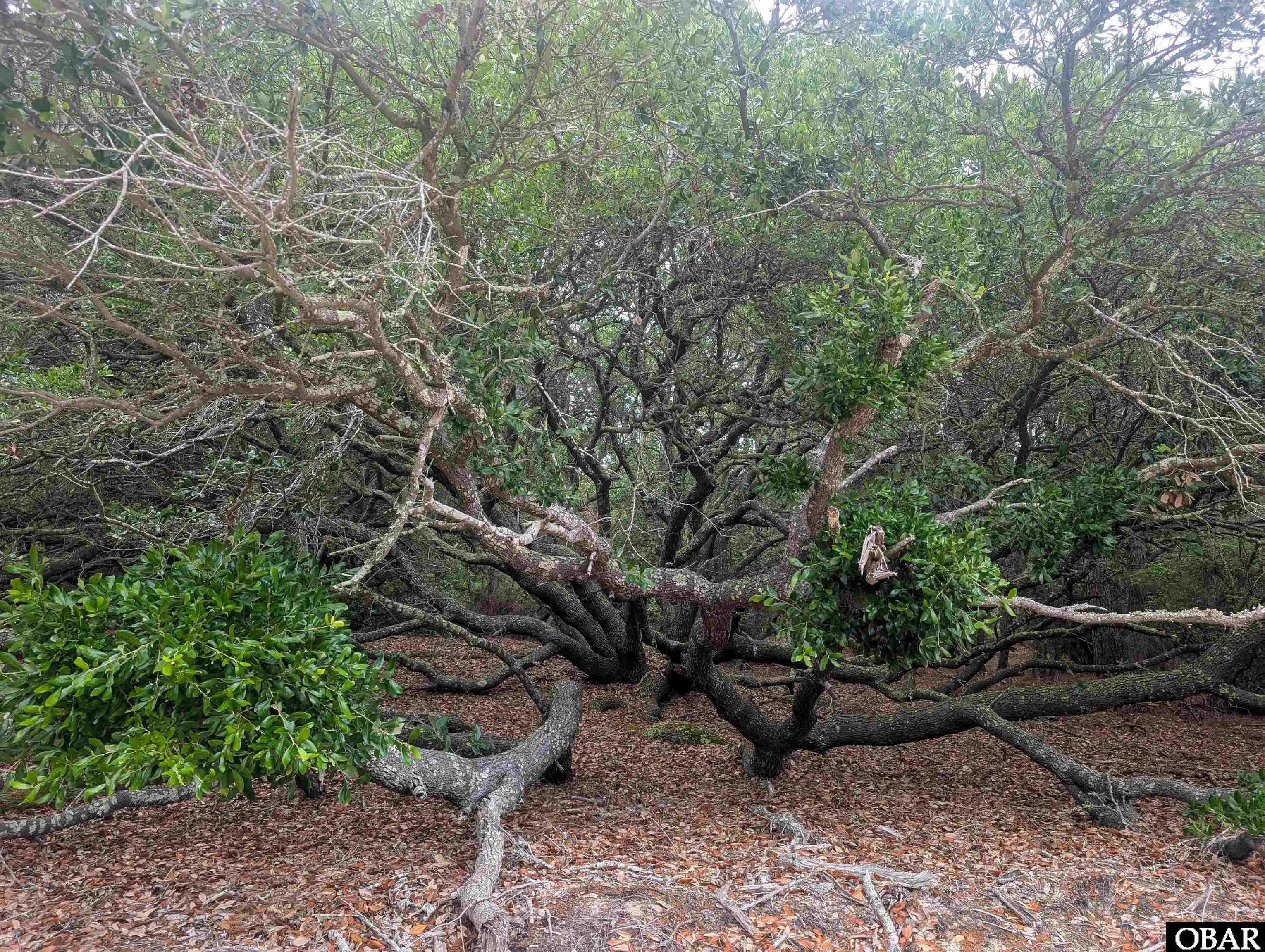 501 Red Snapper Lane Lot #7