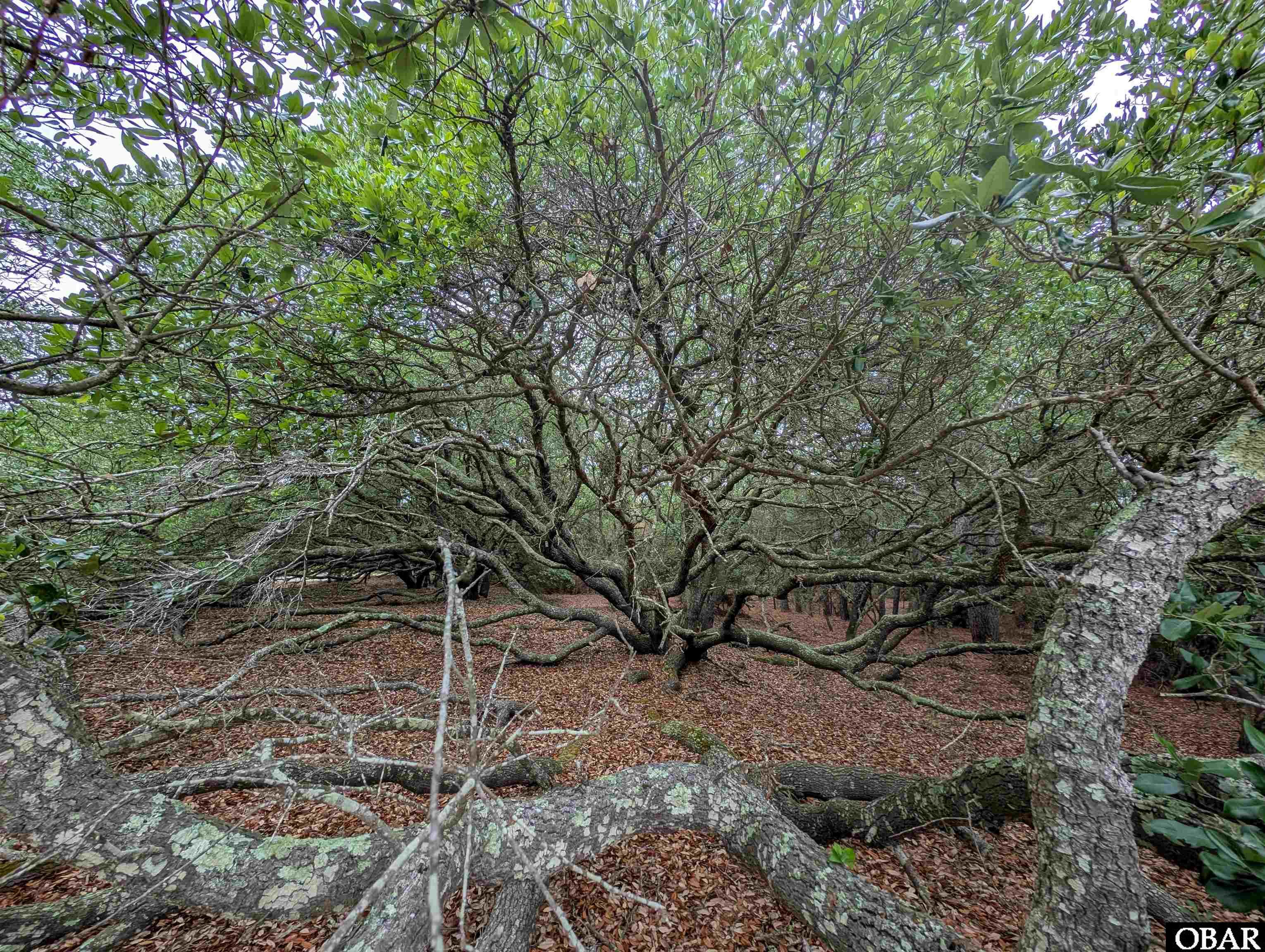 501 Red Snapper Lane Lot #7