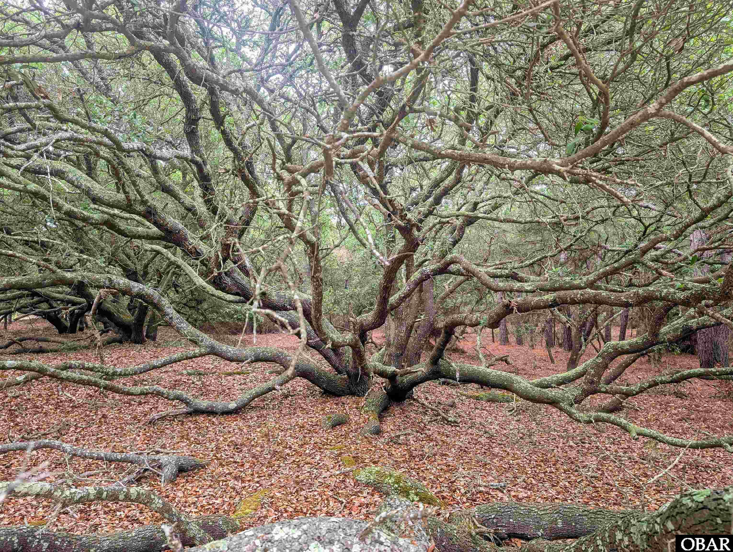 501 Red Snapper Lane Lot #7