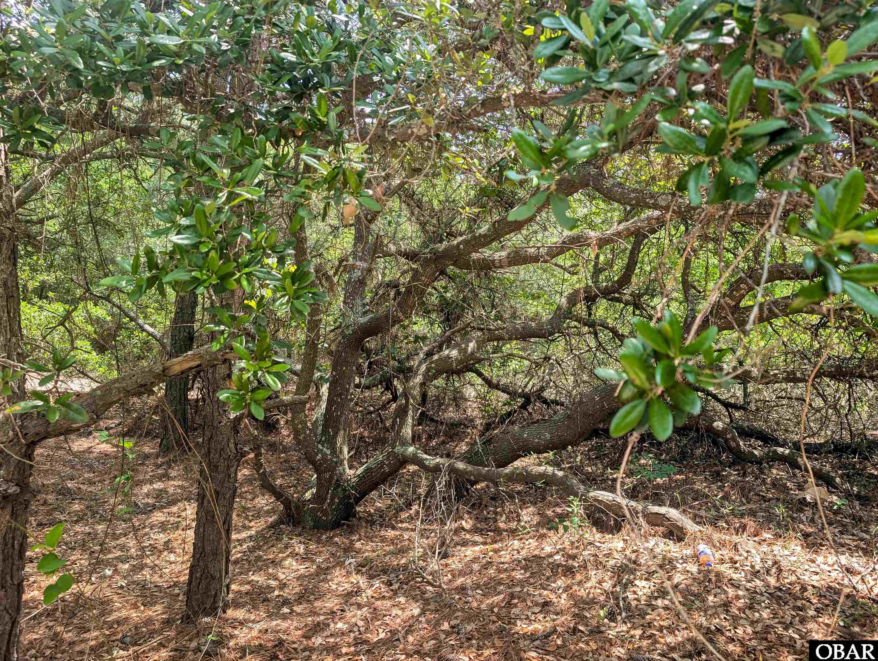 2261 E Swordfish Crescent Lot 18