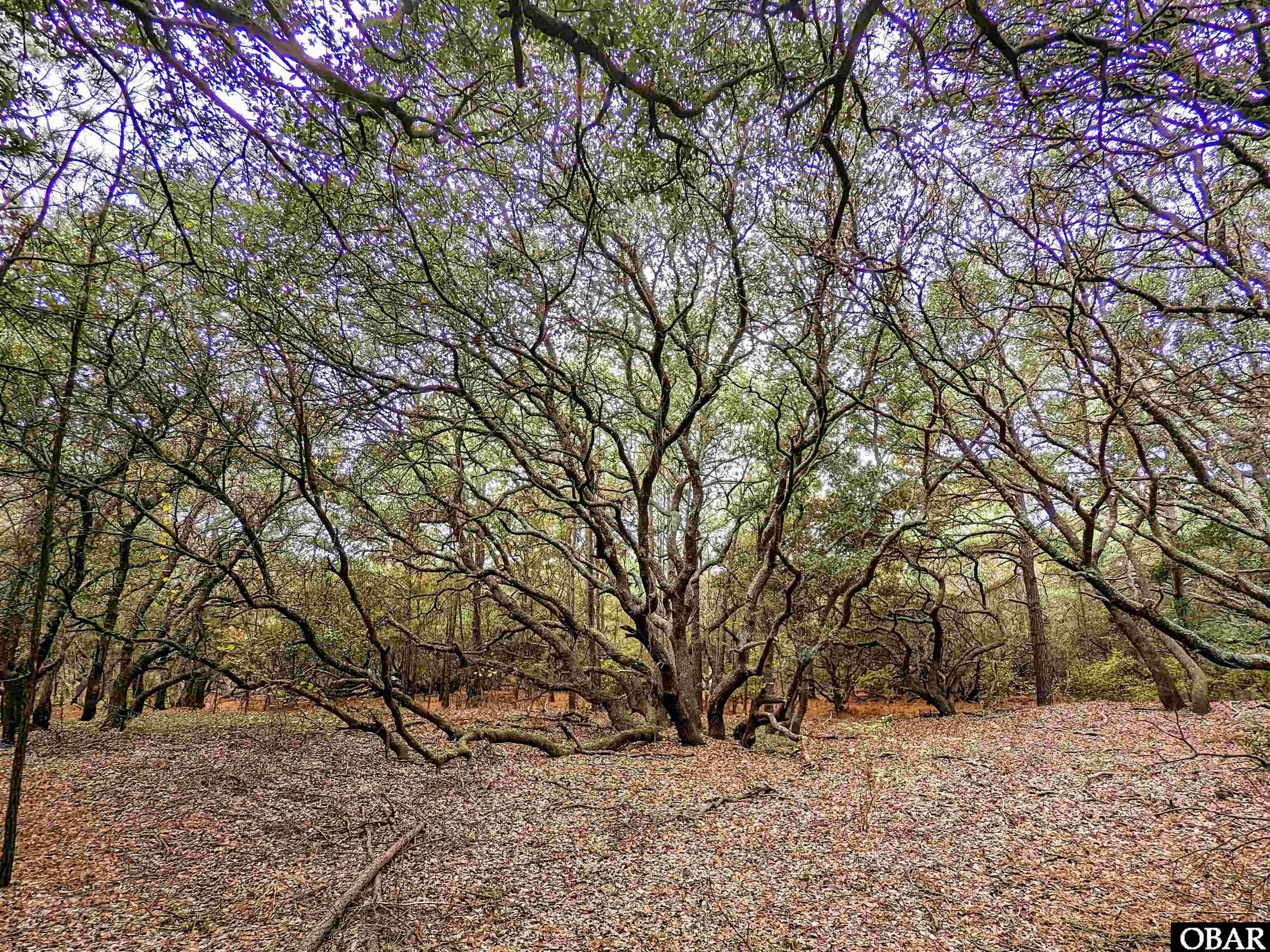 2386 Carova Road Lot 7