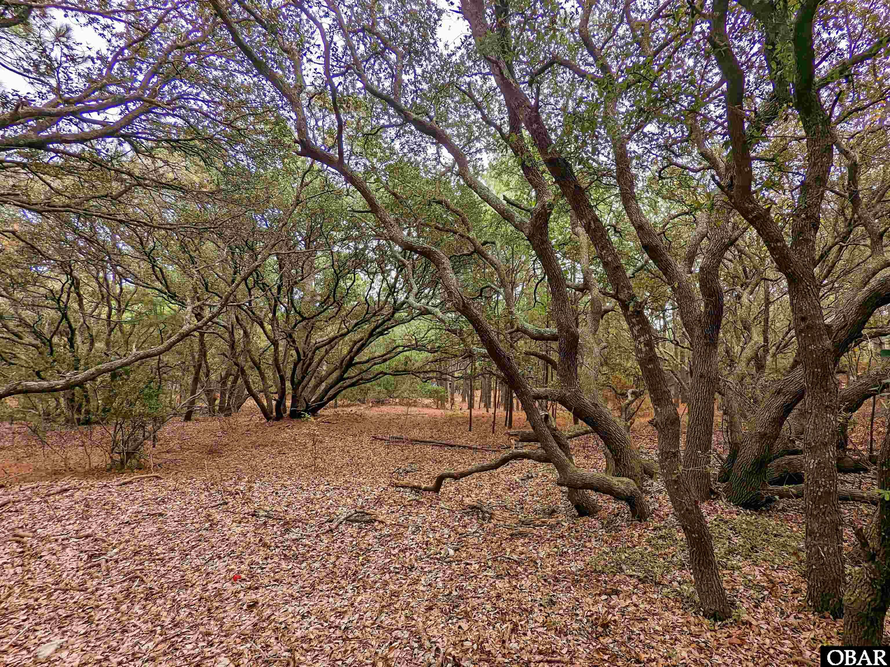 2386 Carova Road Lot 7