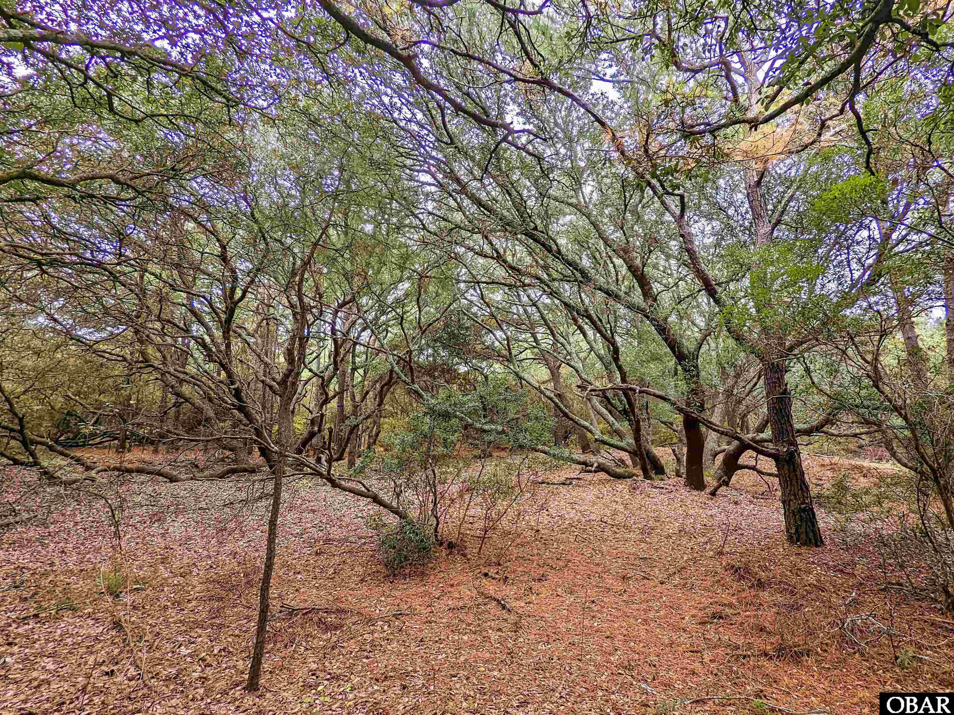 2386 Carova Road Lot 7