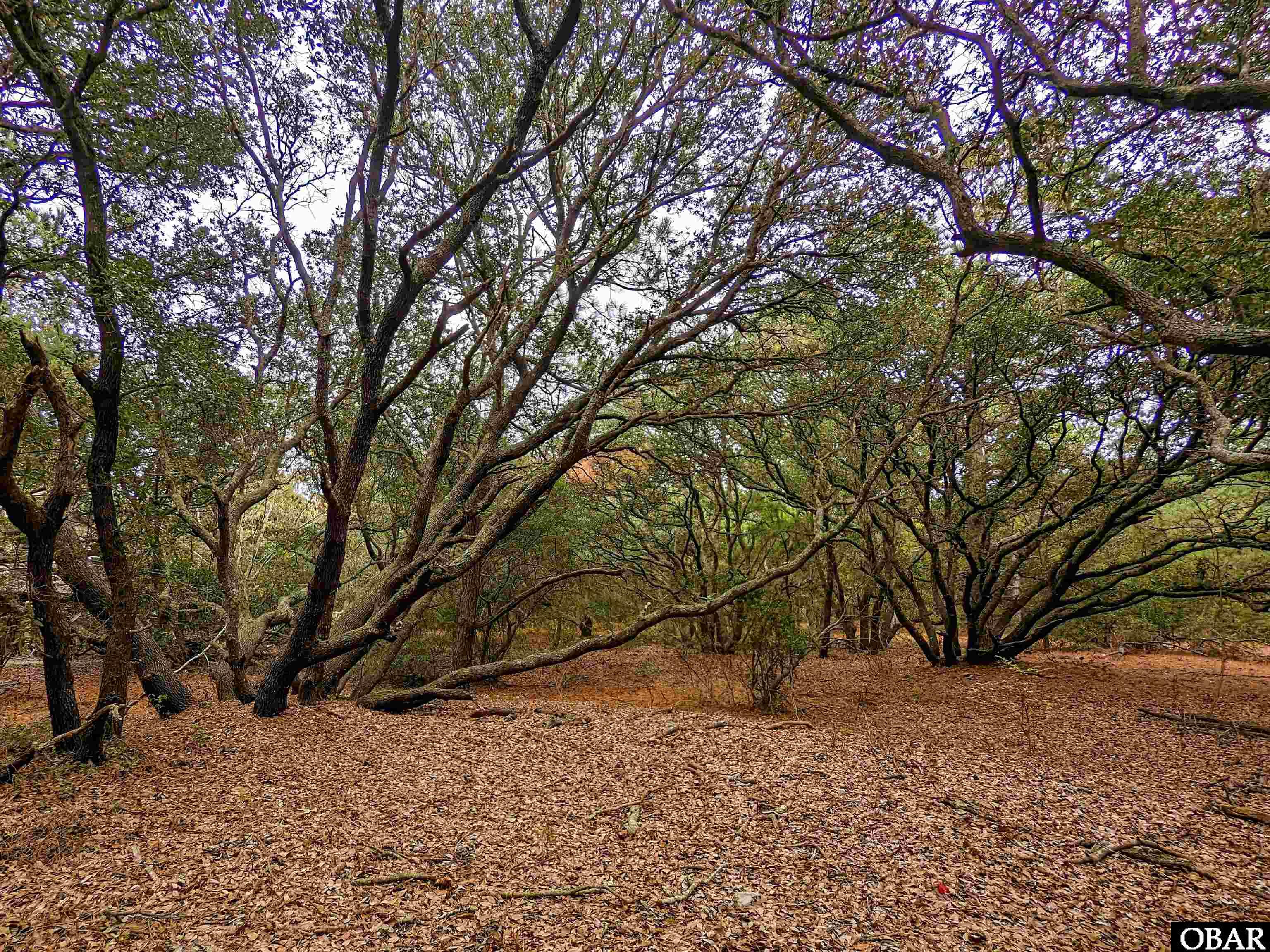 2386 Carova Road Lot 7