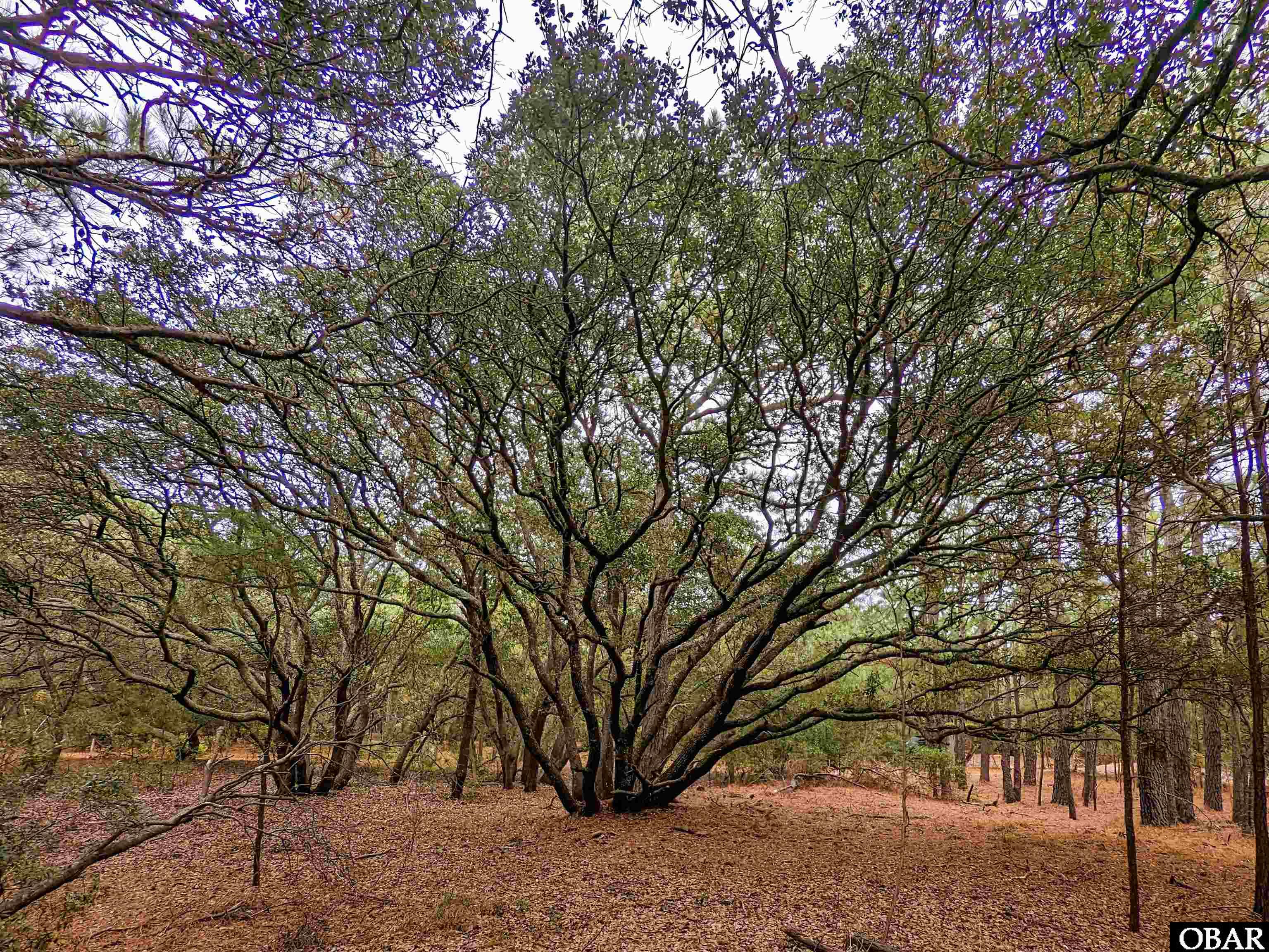 2386 Carova Road Lot 7