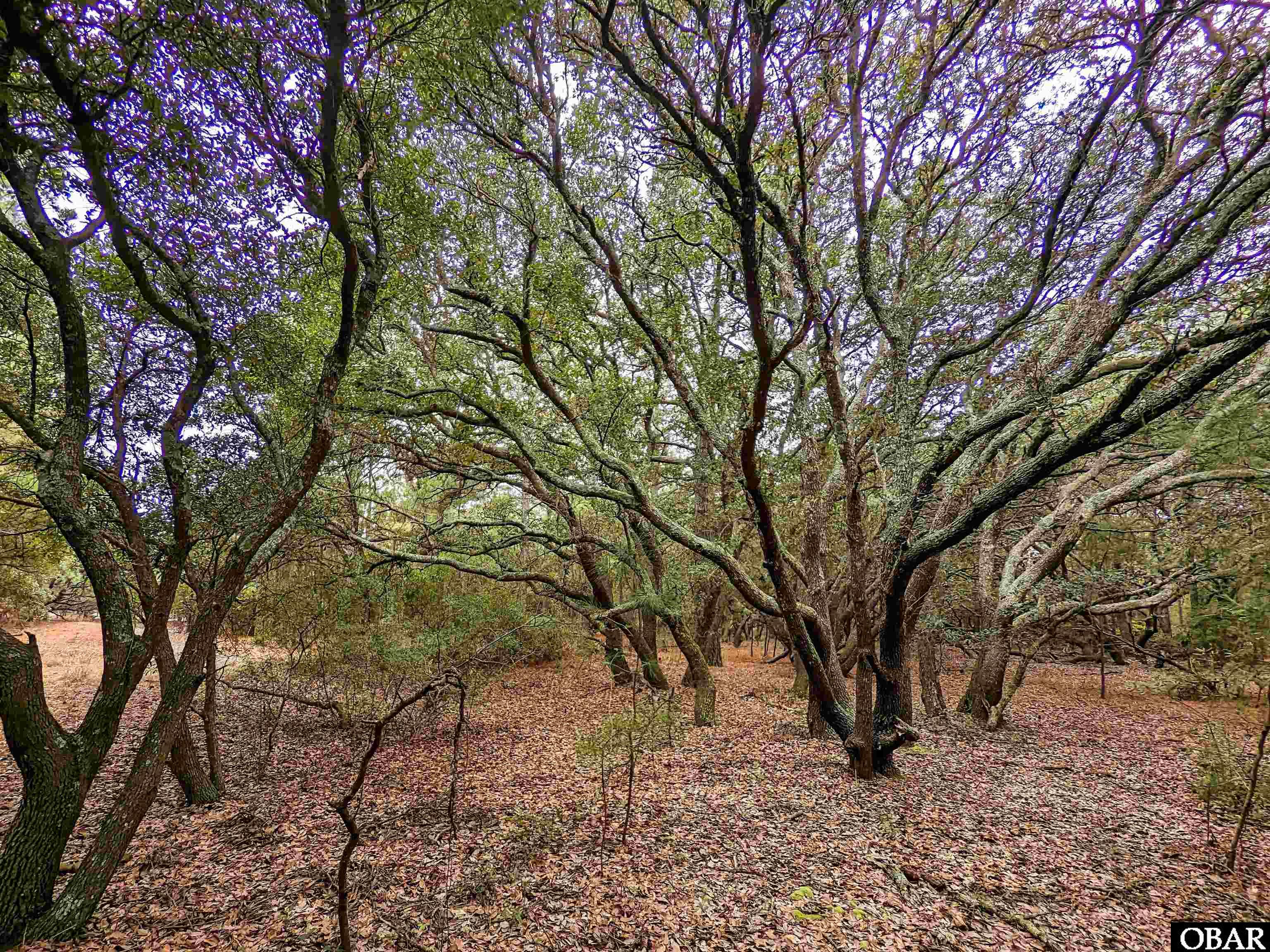 2386 Carova Road Lot 7