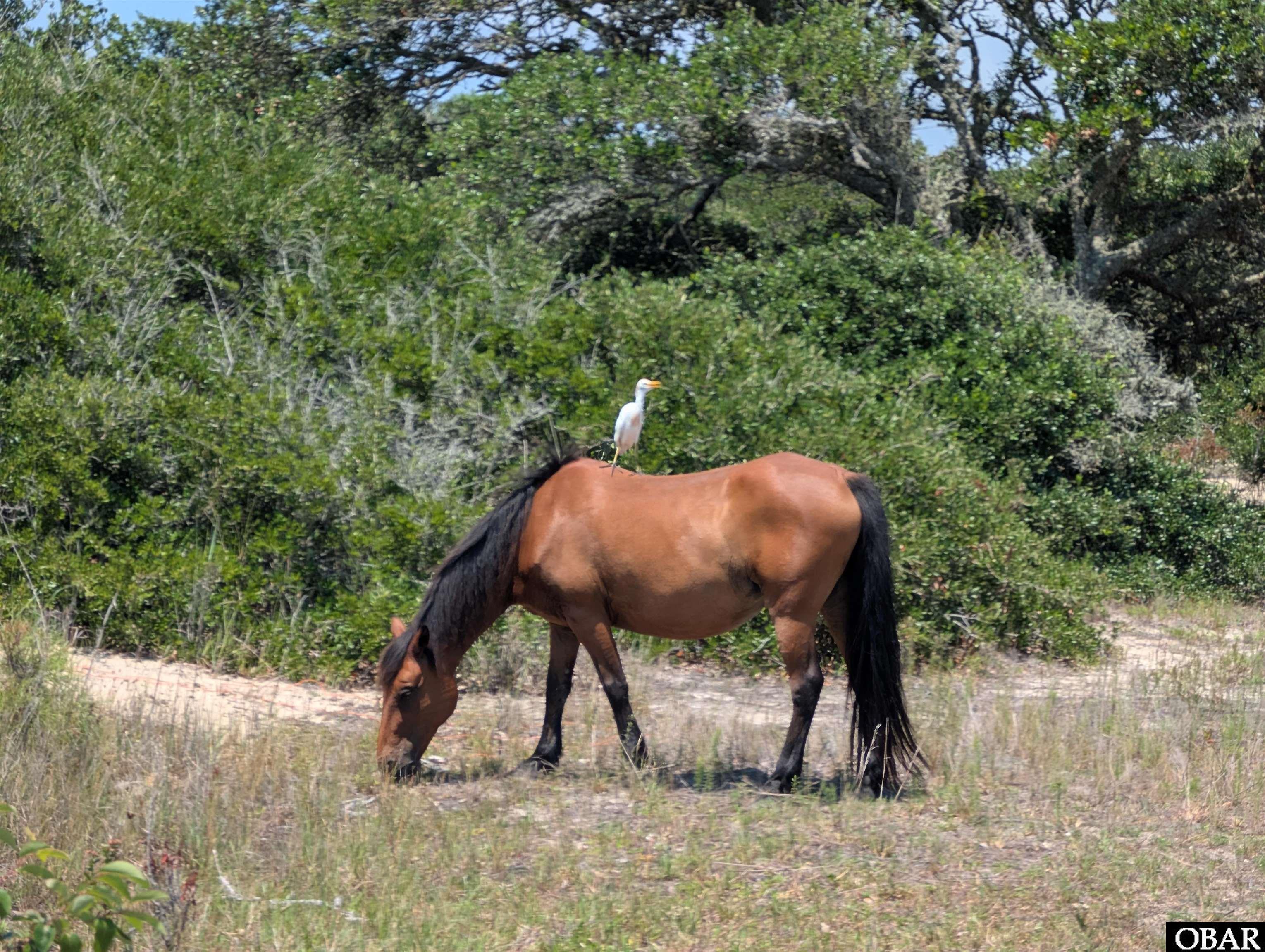 1631 Ocean Pearl Road Lot 16