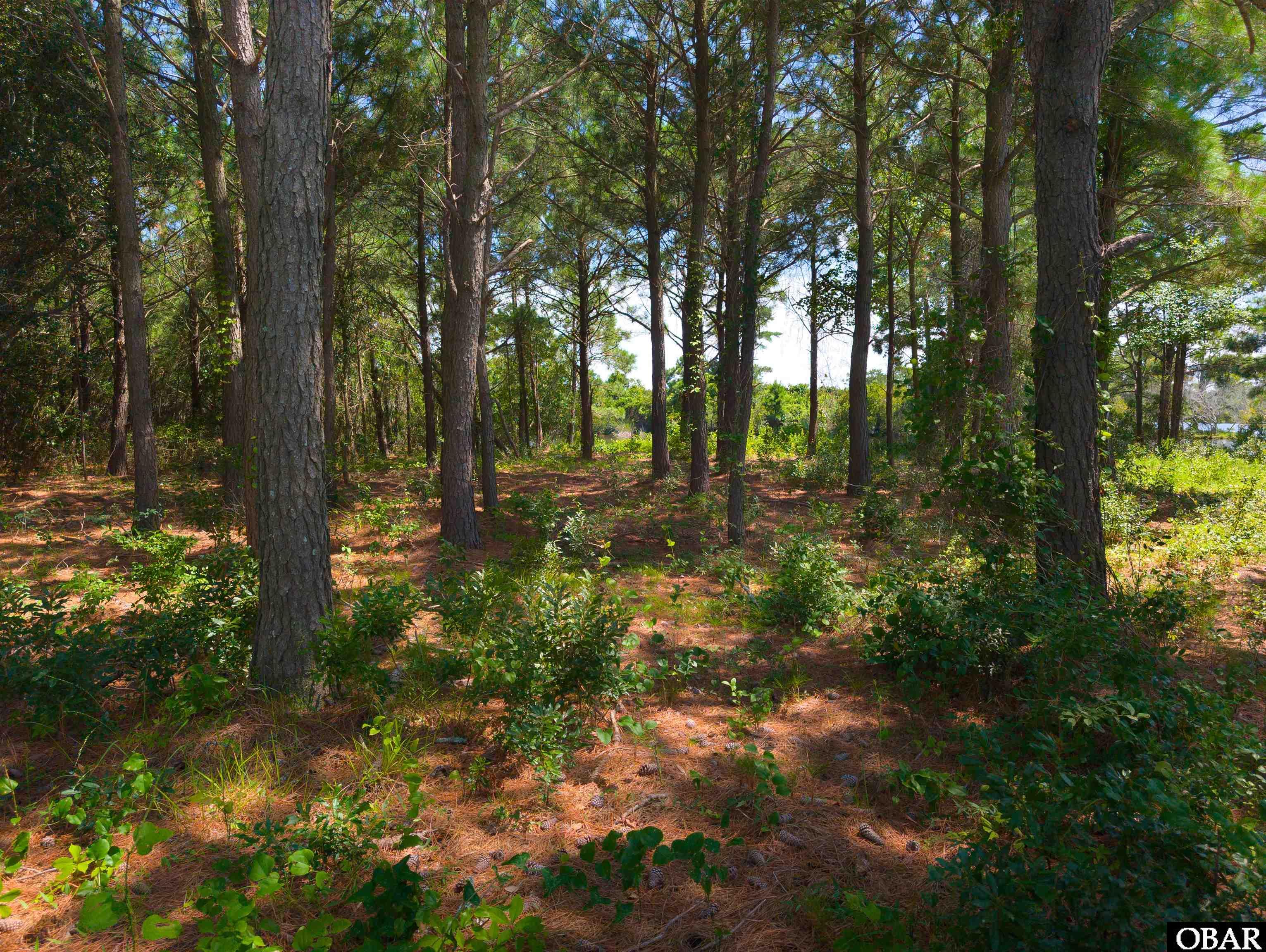 918 Plover Court Lot 27