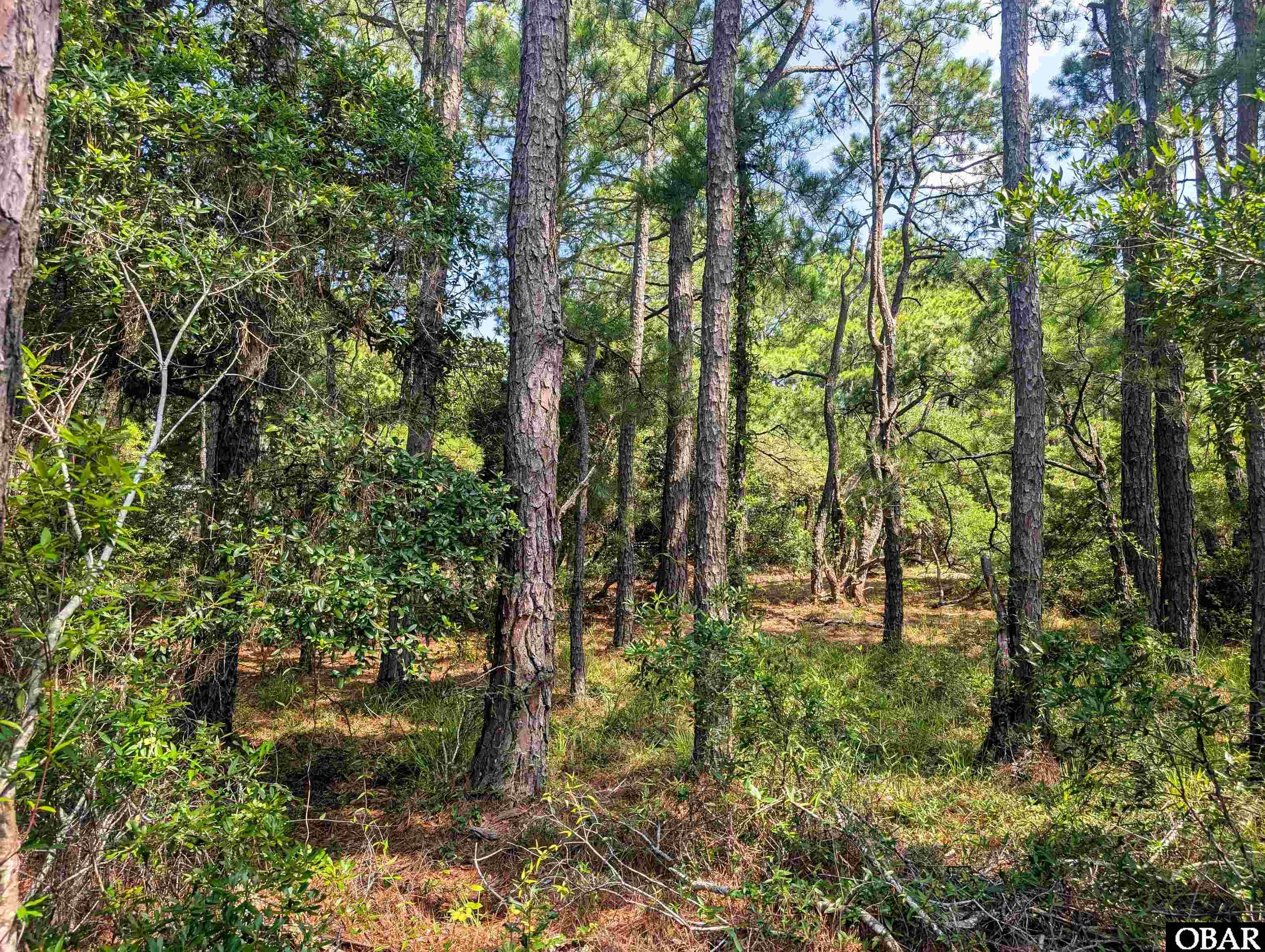 2364 Swan Island Road Lot 6