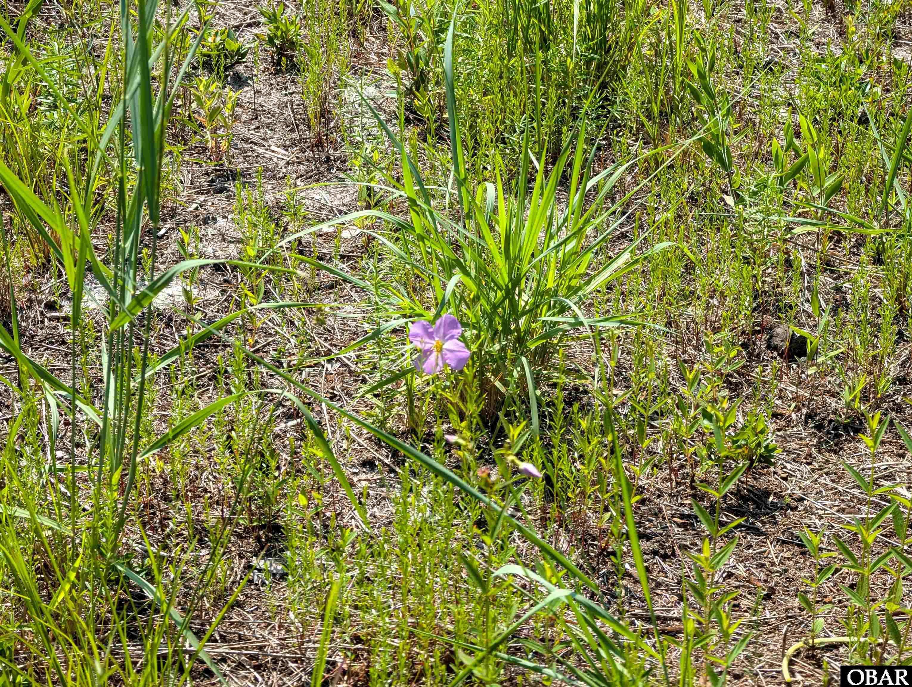 2366 Swan Island Road Lot 5