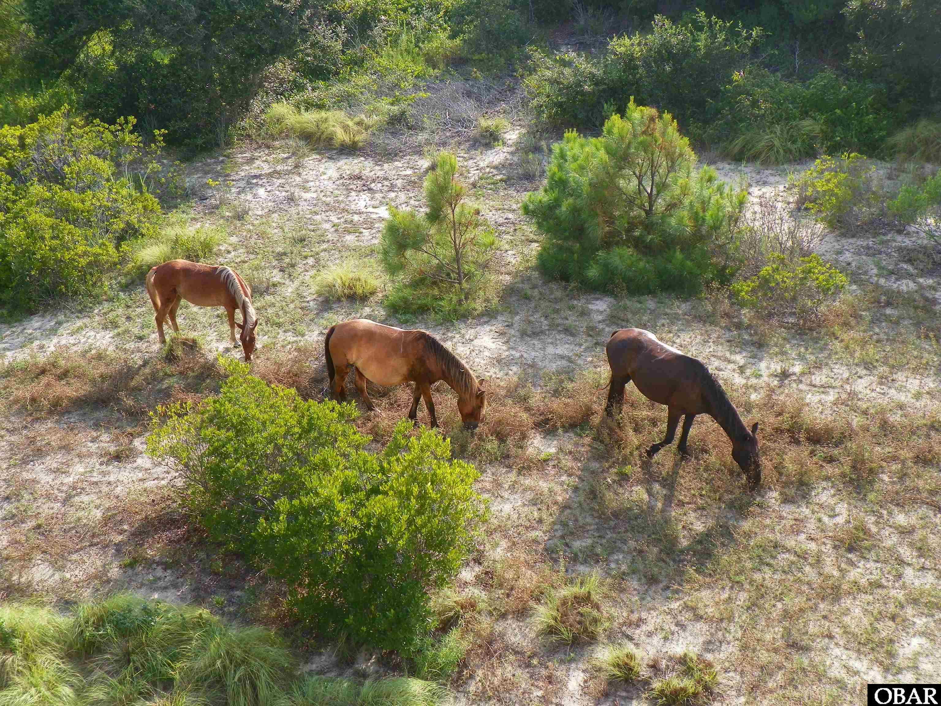 2366 Swan Island Road Lot 5