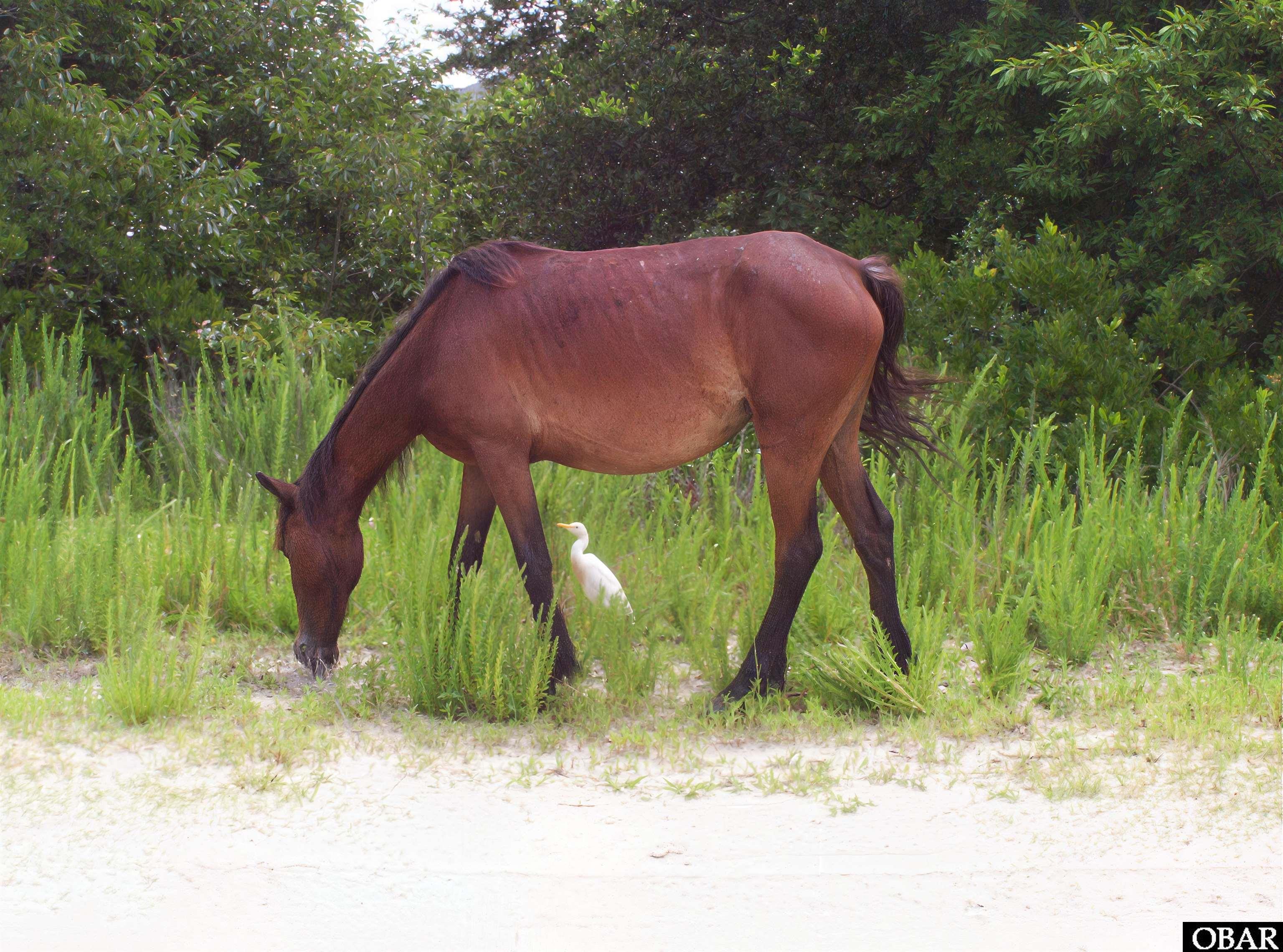 2223 Ocean Pearl Road Lot #1