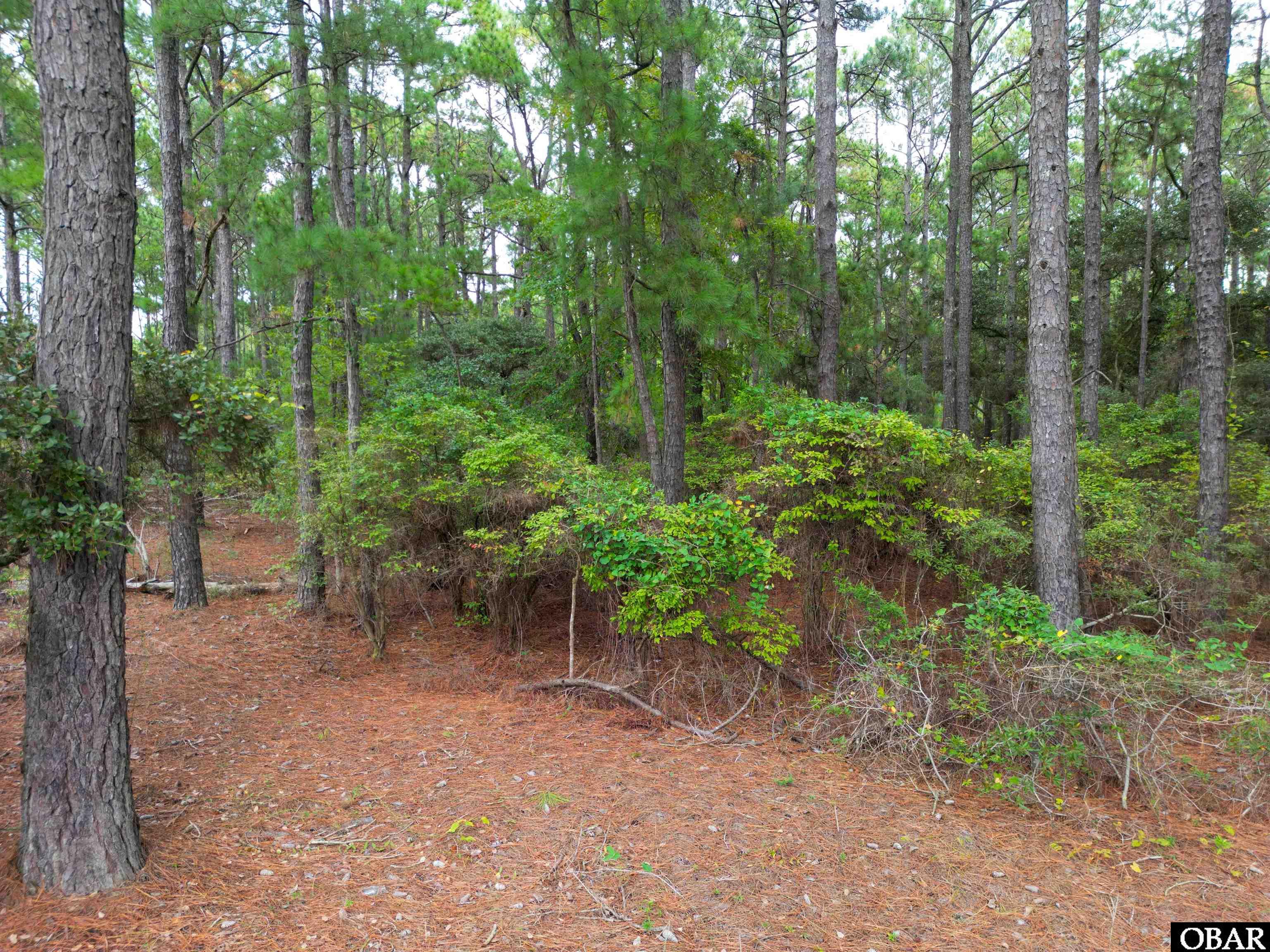 2343 Ocean Pearl Road Lot 22