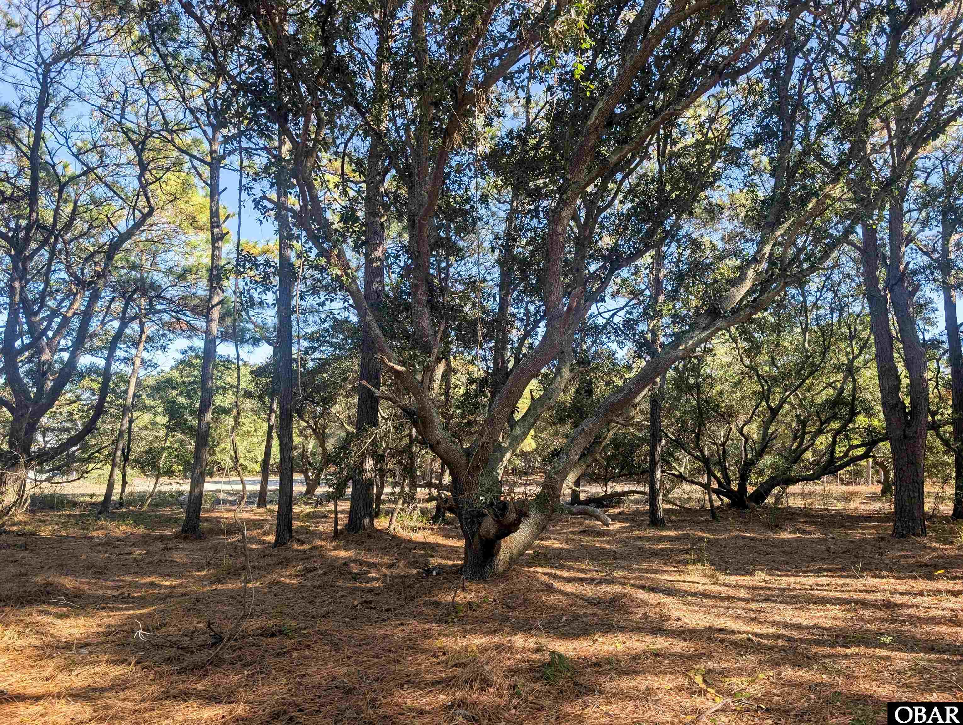 2368 Ocean Sands Road Lot 4