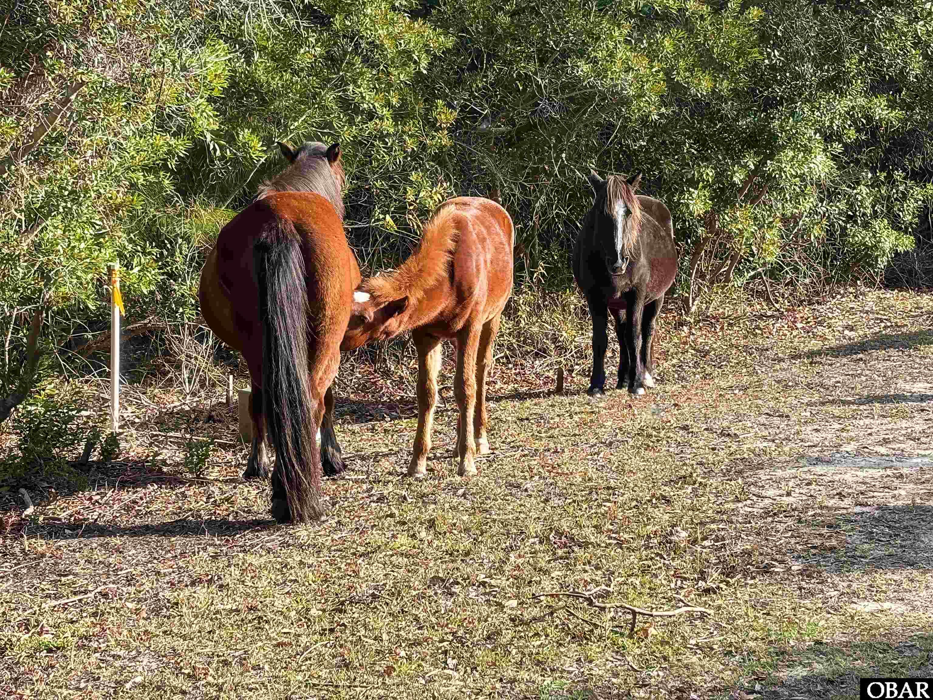 2021 Midland Road Lot #1