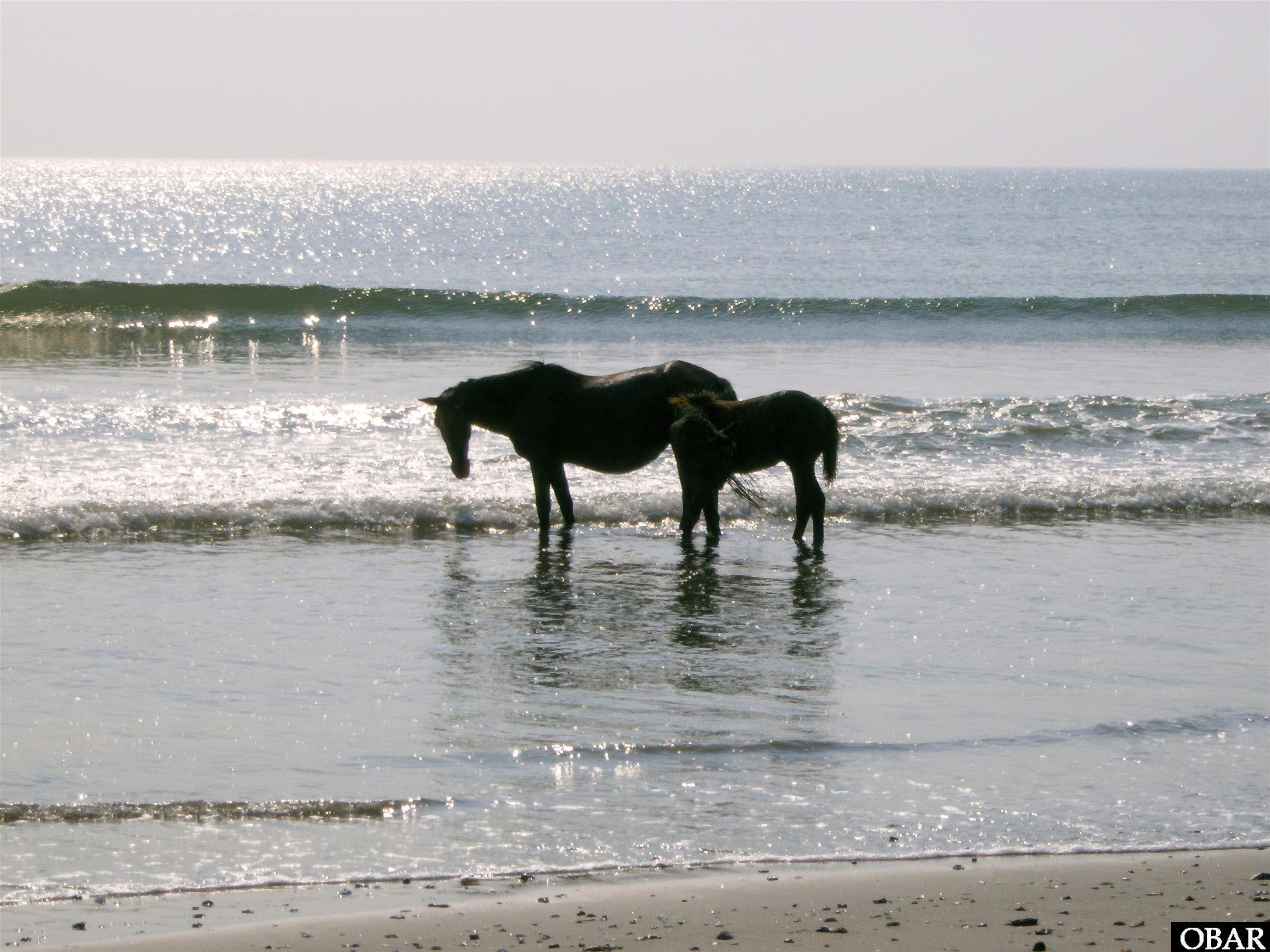 2166 Sandfiddler Road Lot 107