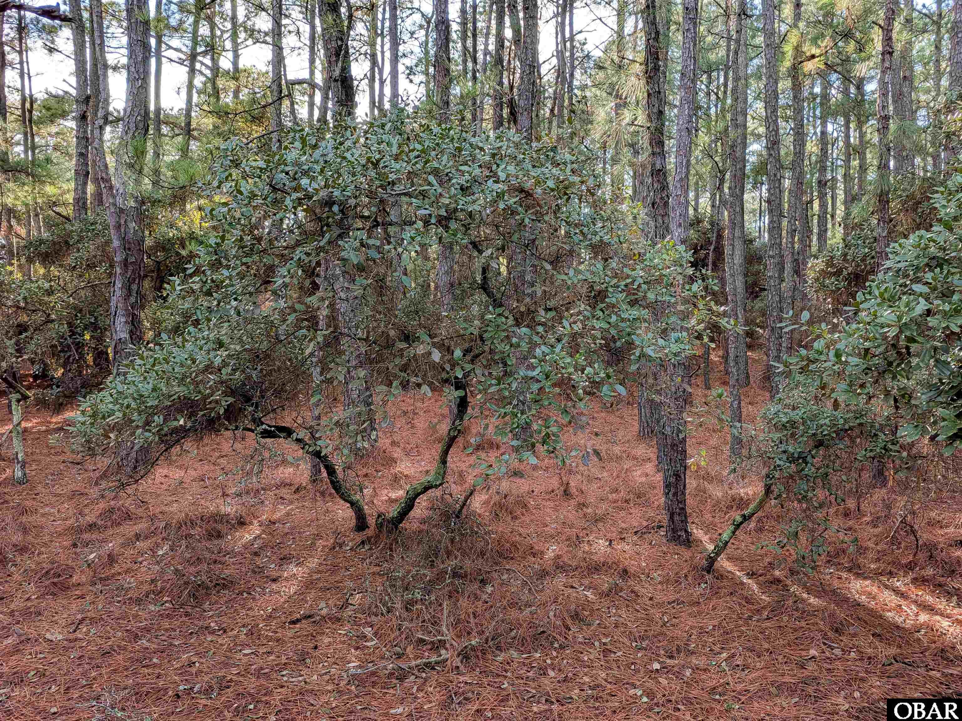 2368 Swan Island Road Lot #4