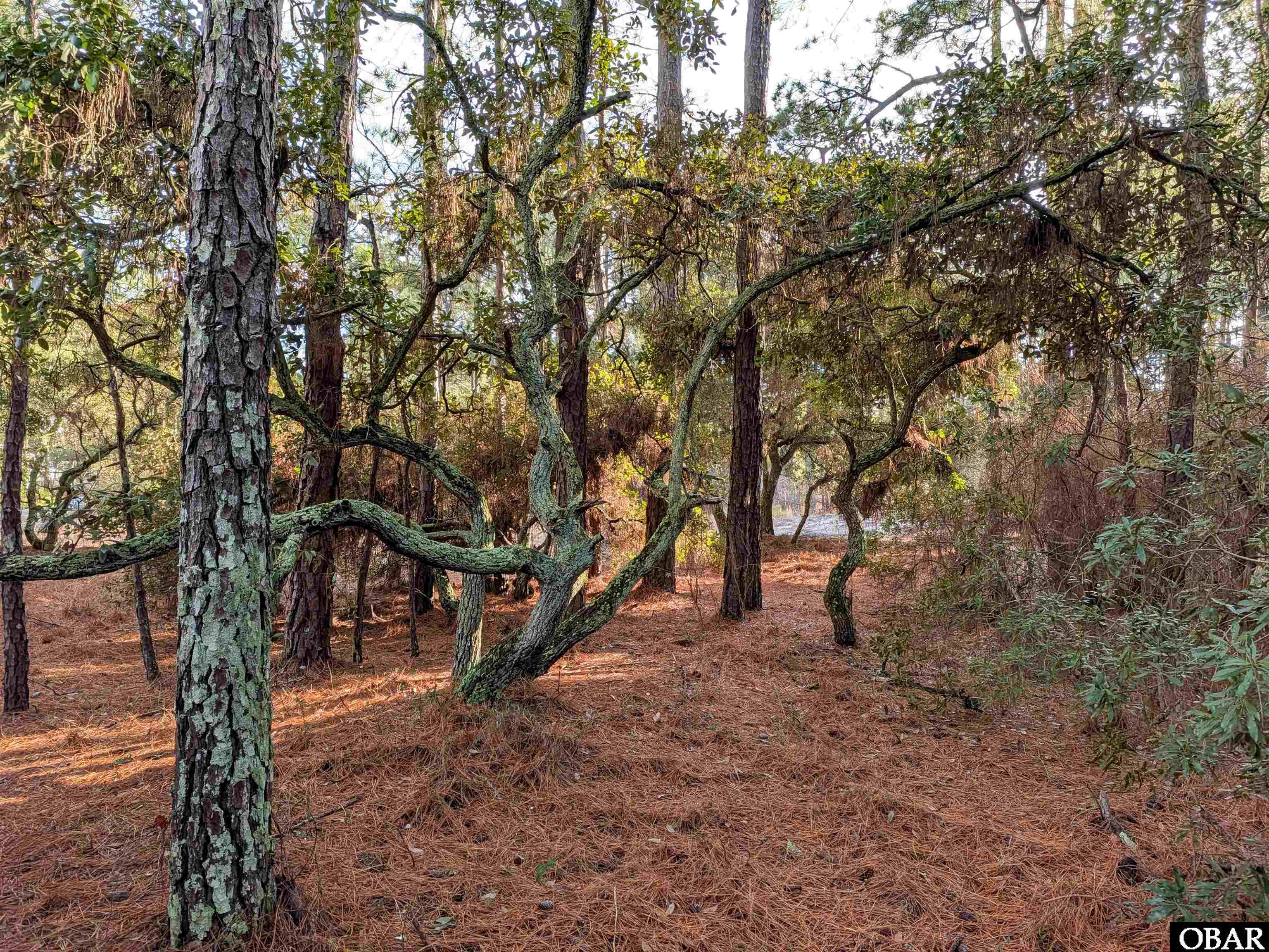 2368 Swan Island Road Lot #4