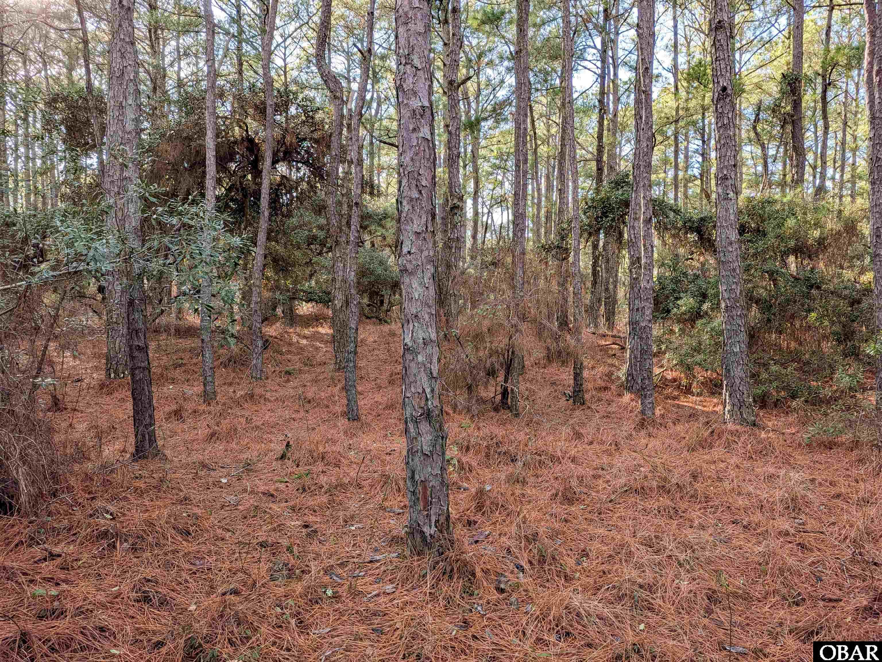 2368 Swan Island Road Lot #4
