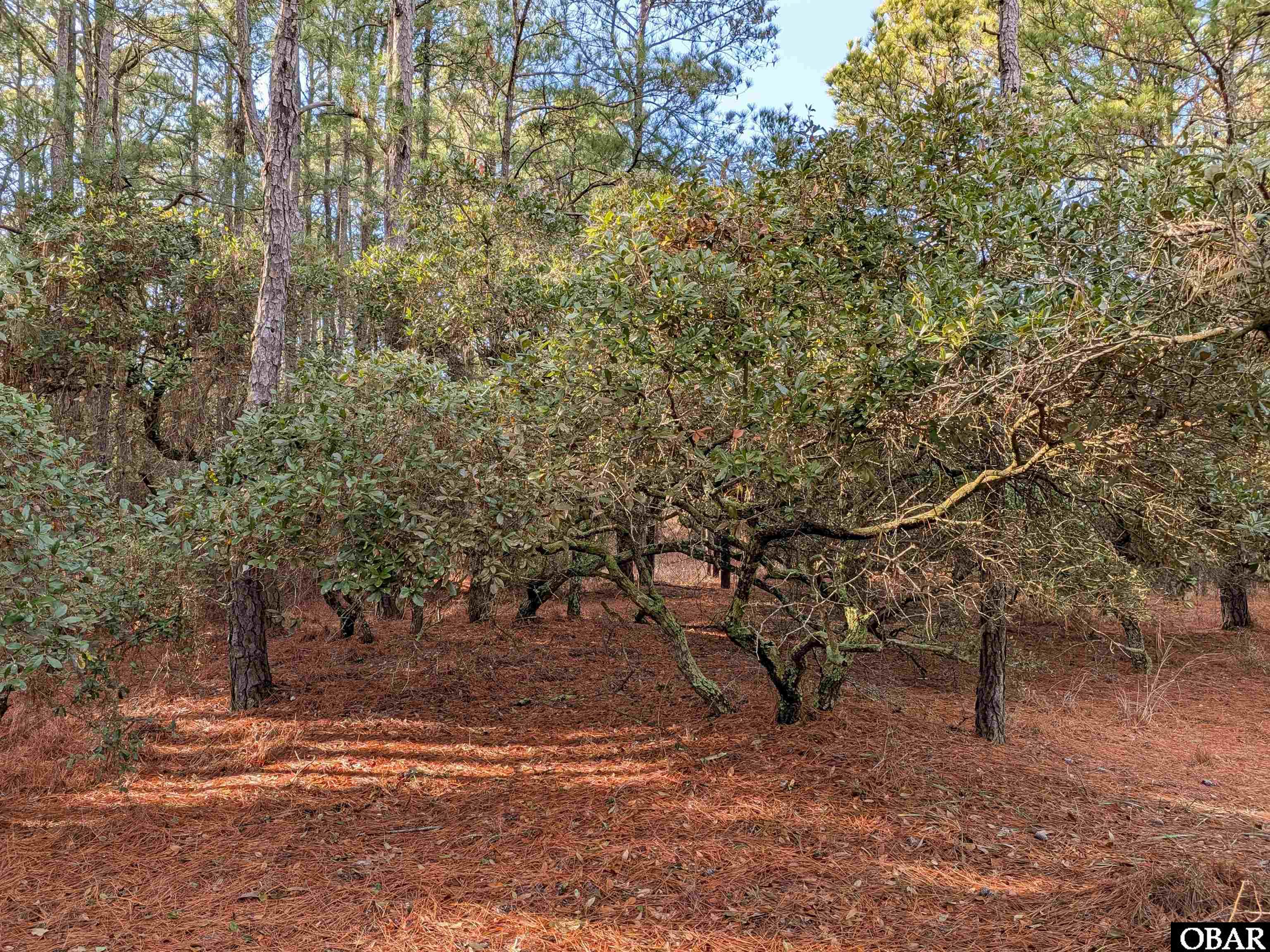 2368 Swan Island Road Lot #4