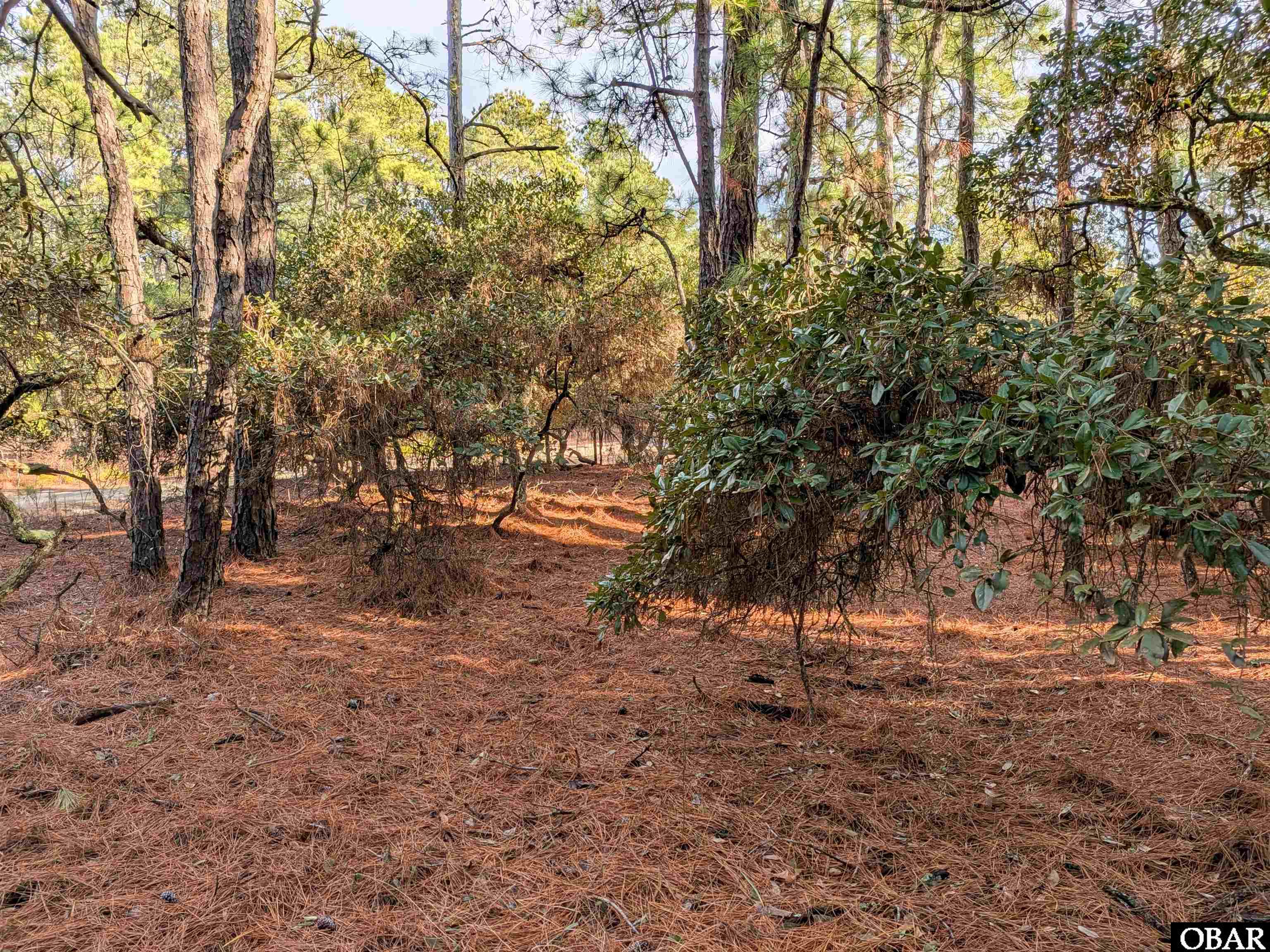 2368 Swan Island Road Lot #4