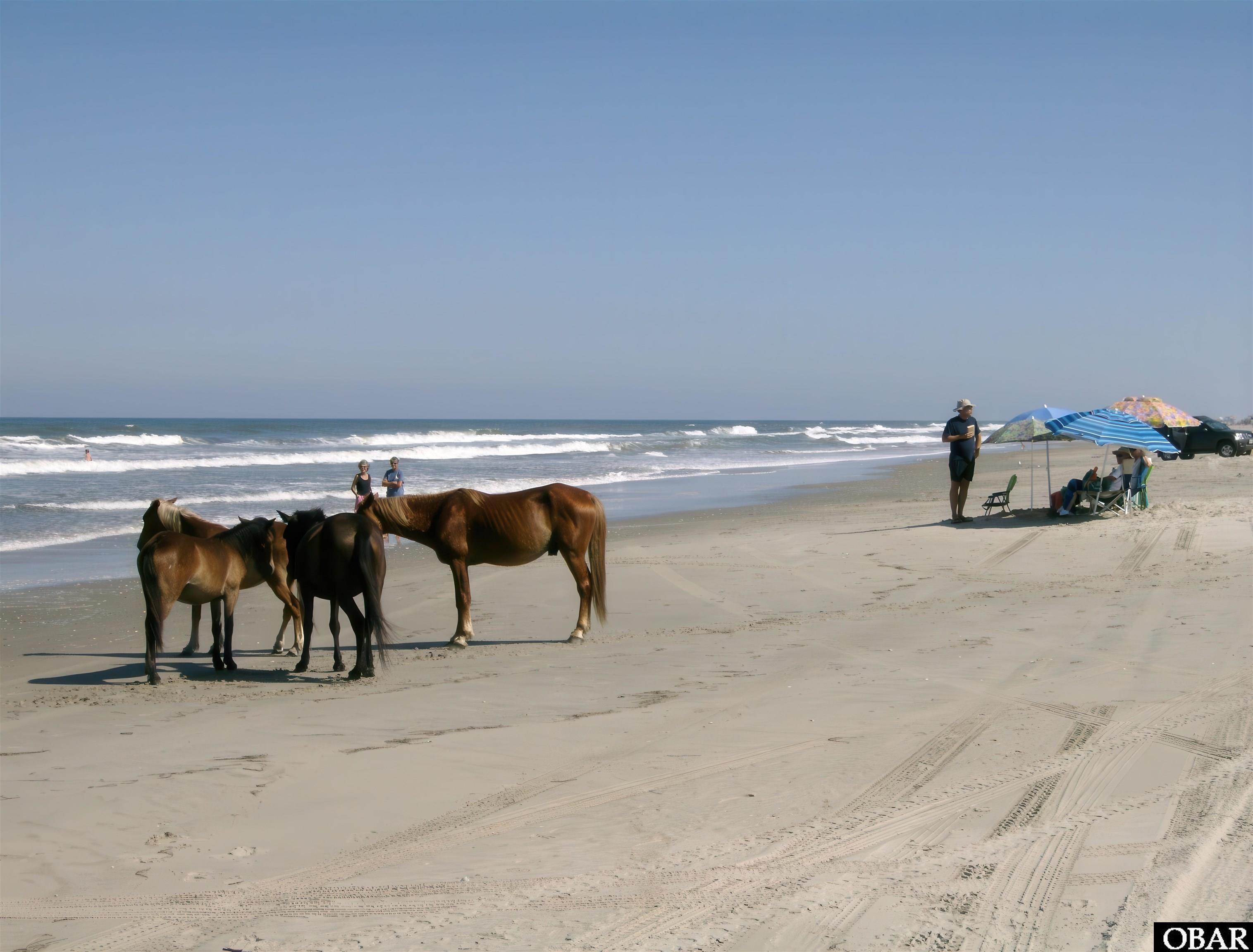 1634 Sandpiper Road Lot 7