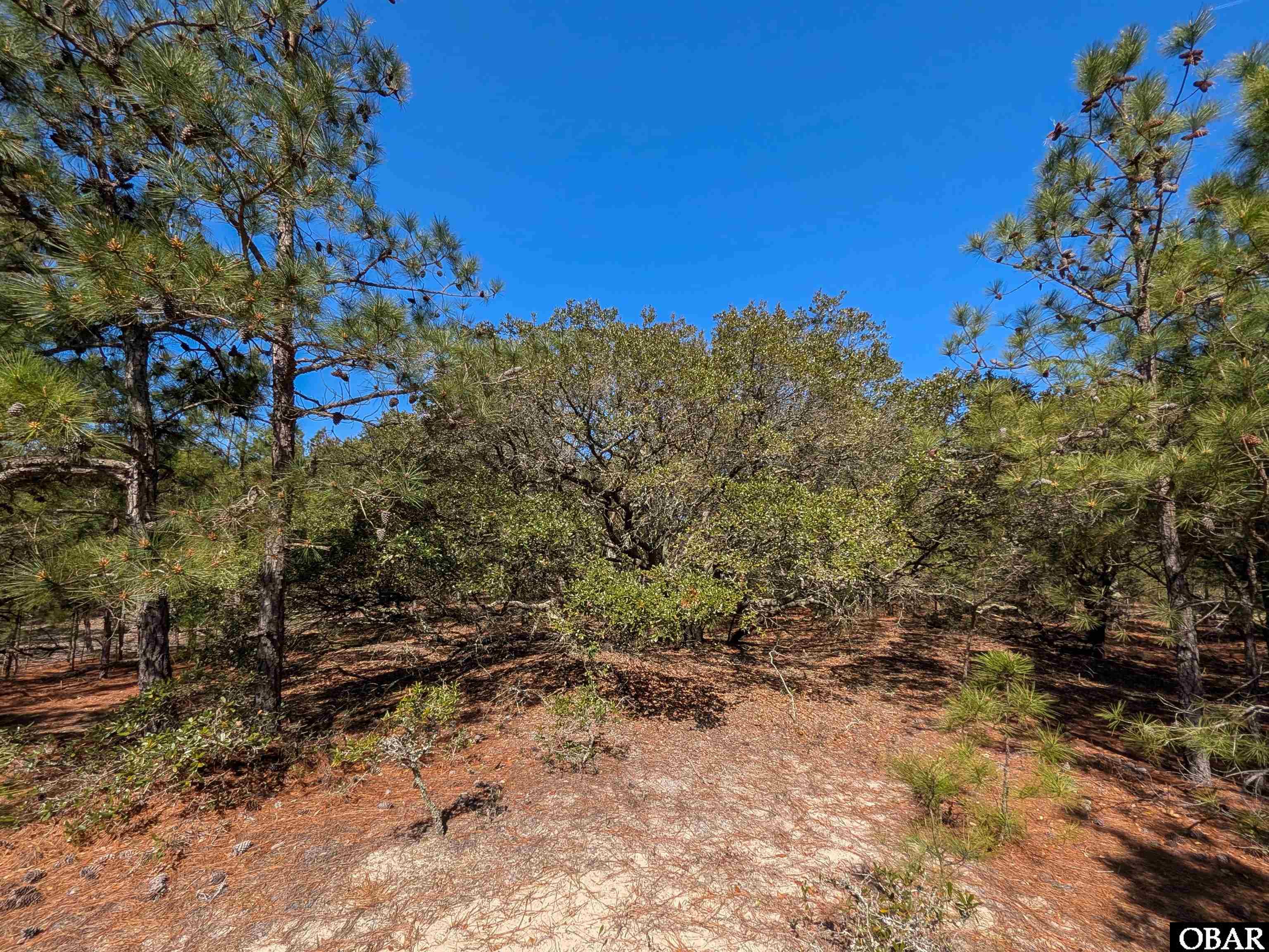 2206 Teal Road Lot 10