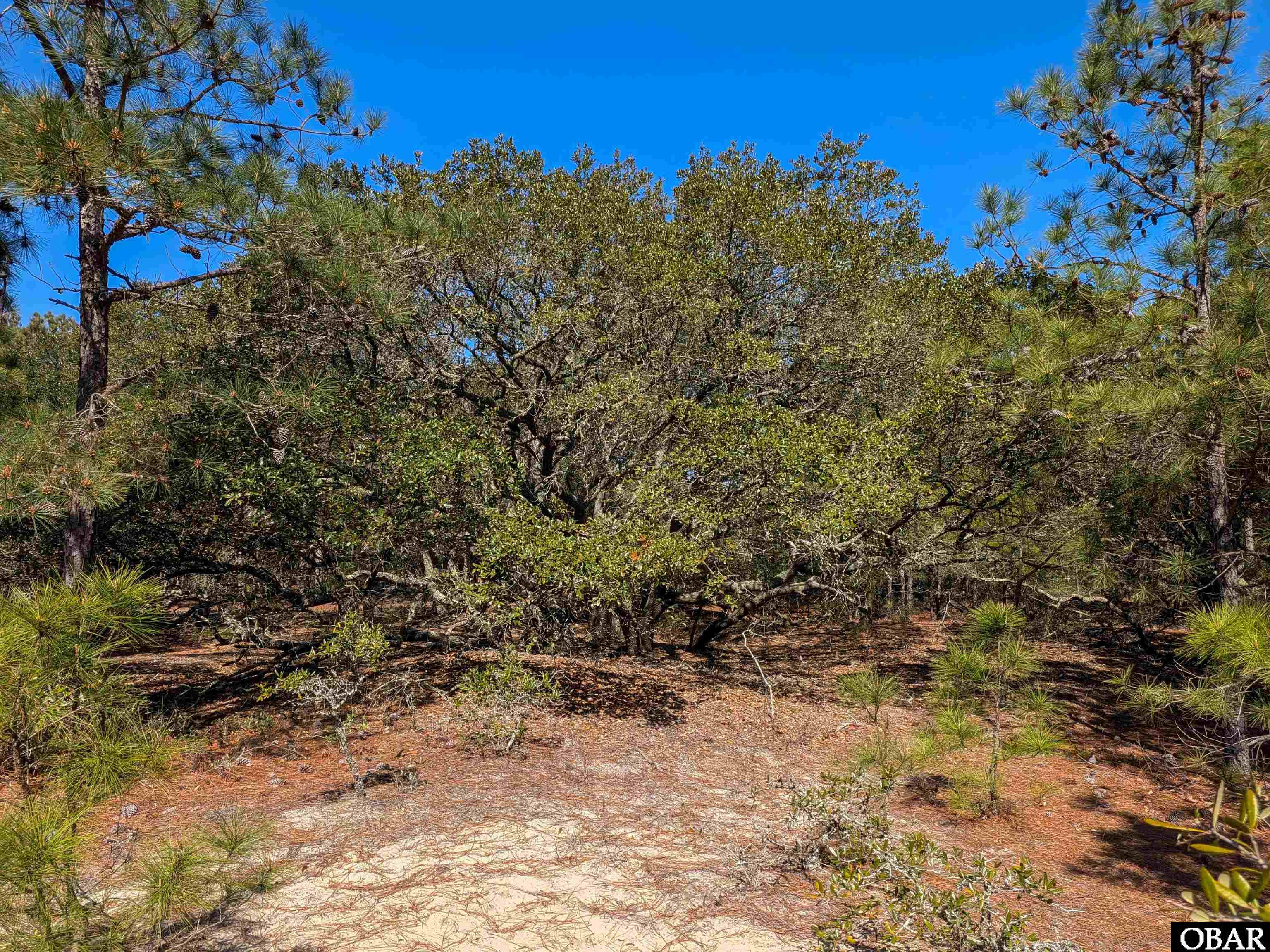 2206 Teal Road Lot 10