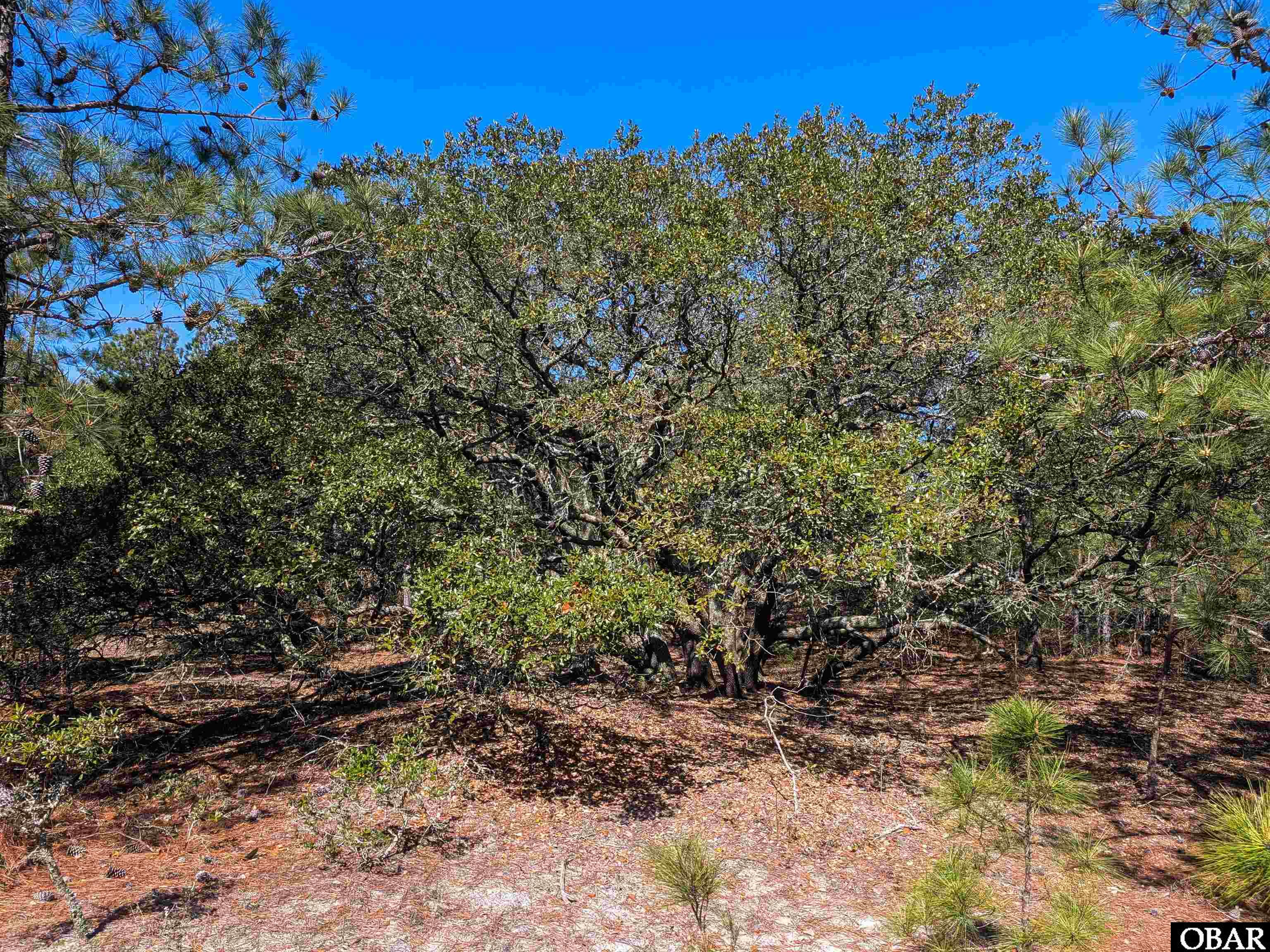 2206 Teal Road Lot 10