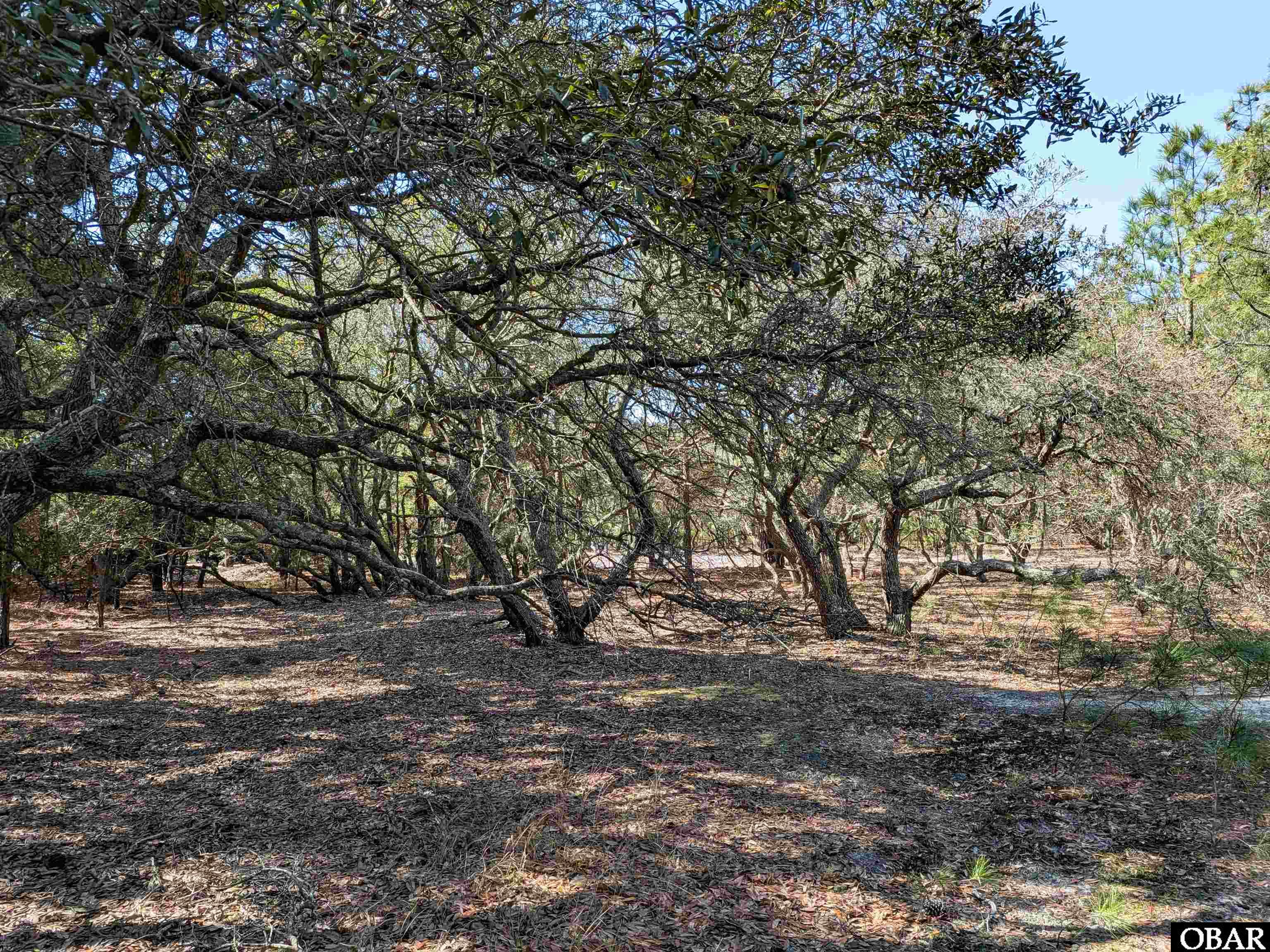 2206 Teal Road Lot 10