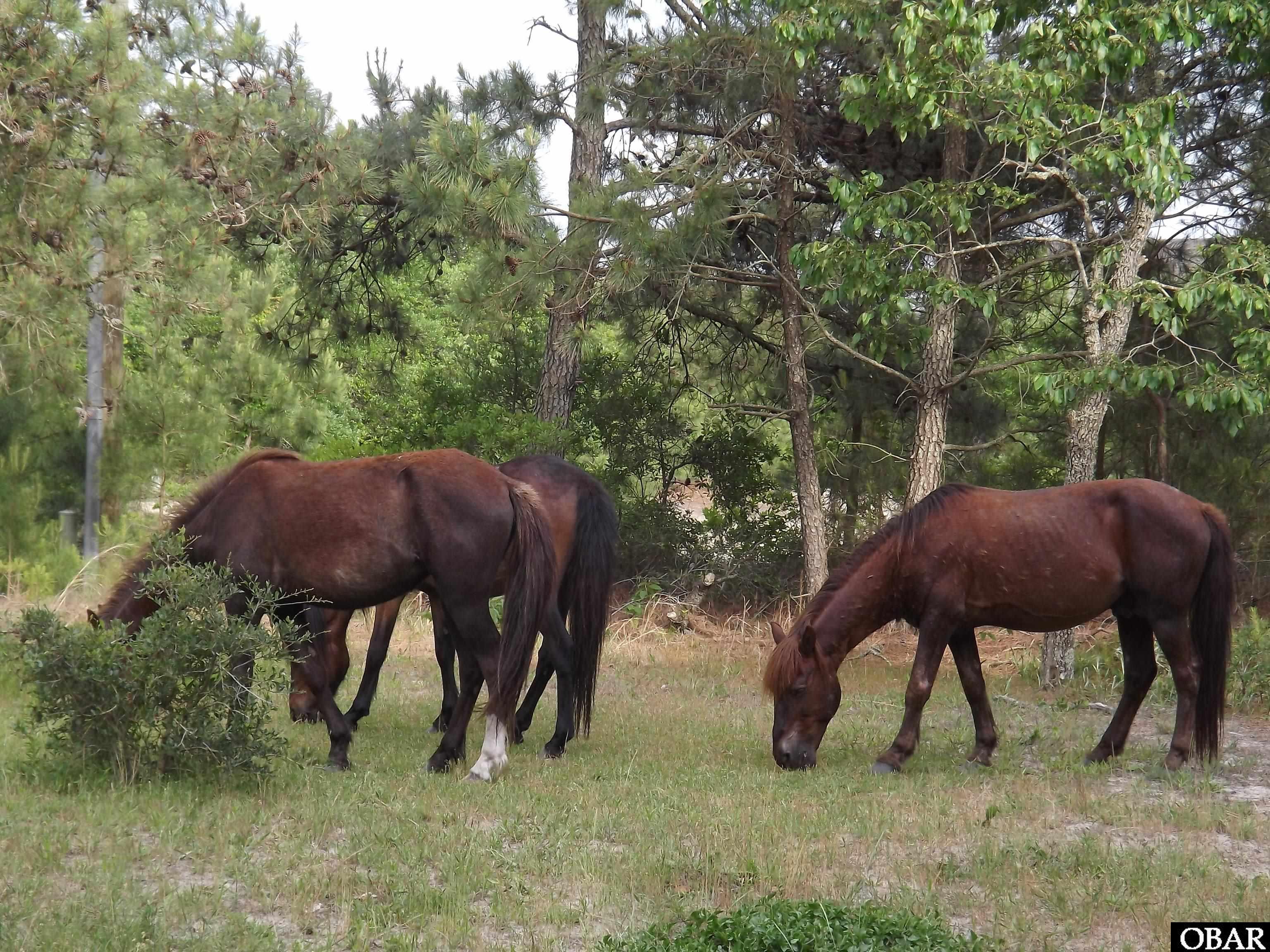 2021 Sea Gull Road Lot 73