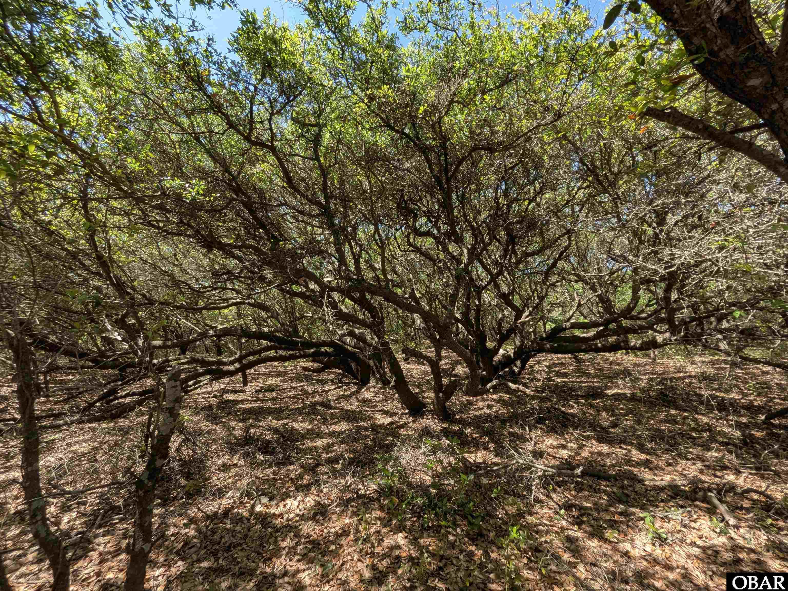 2256 Sandpiper Road Lot 3