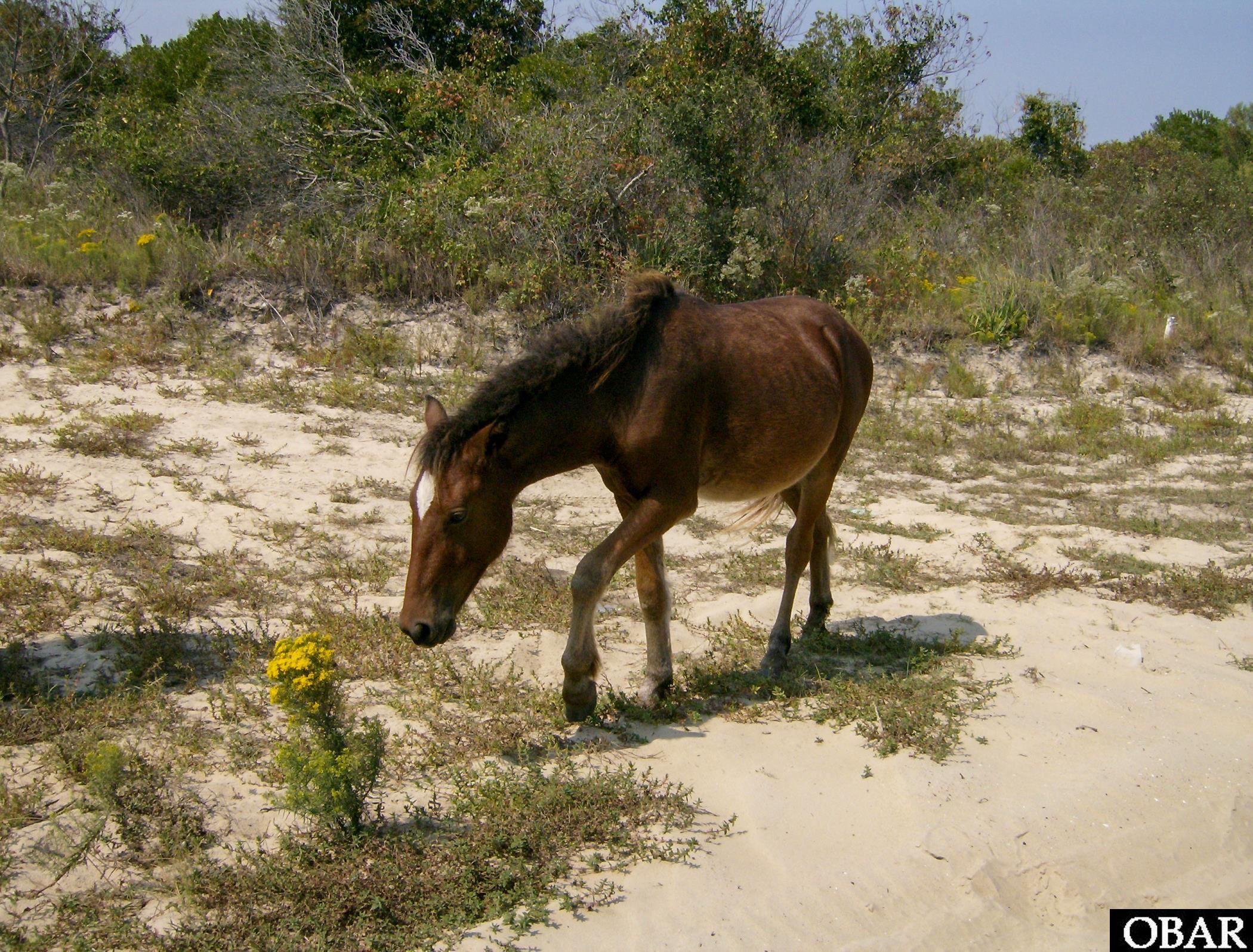 2256 Sandpiper Road Lot 3