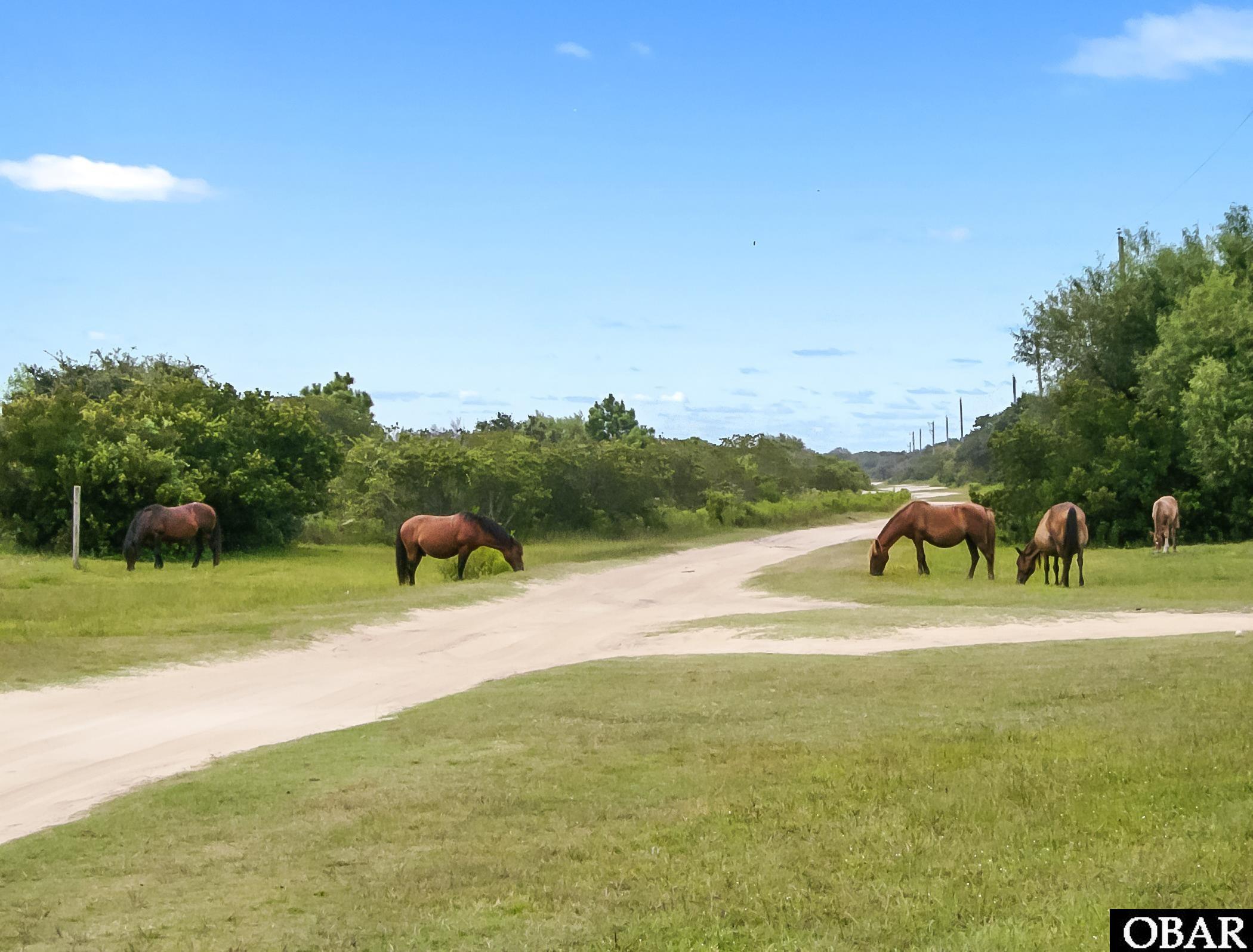 2126 Sandpiper Road Lot 209