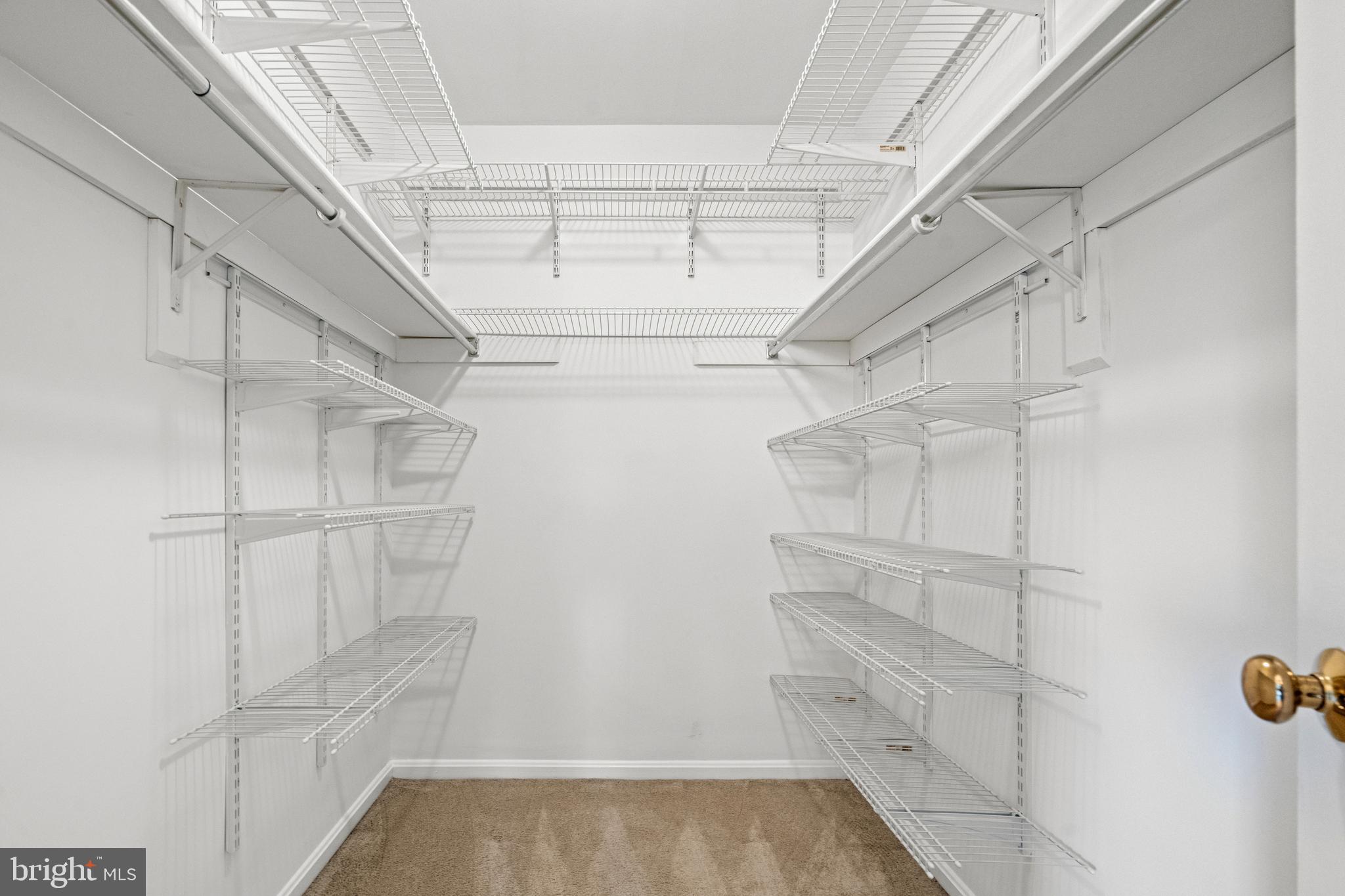 7831 BUTTERFIELD LANE