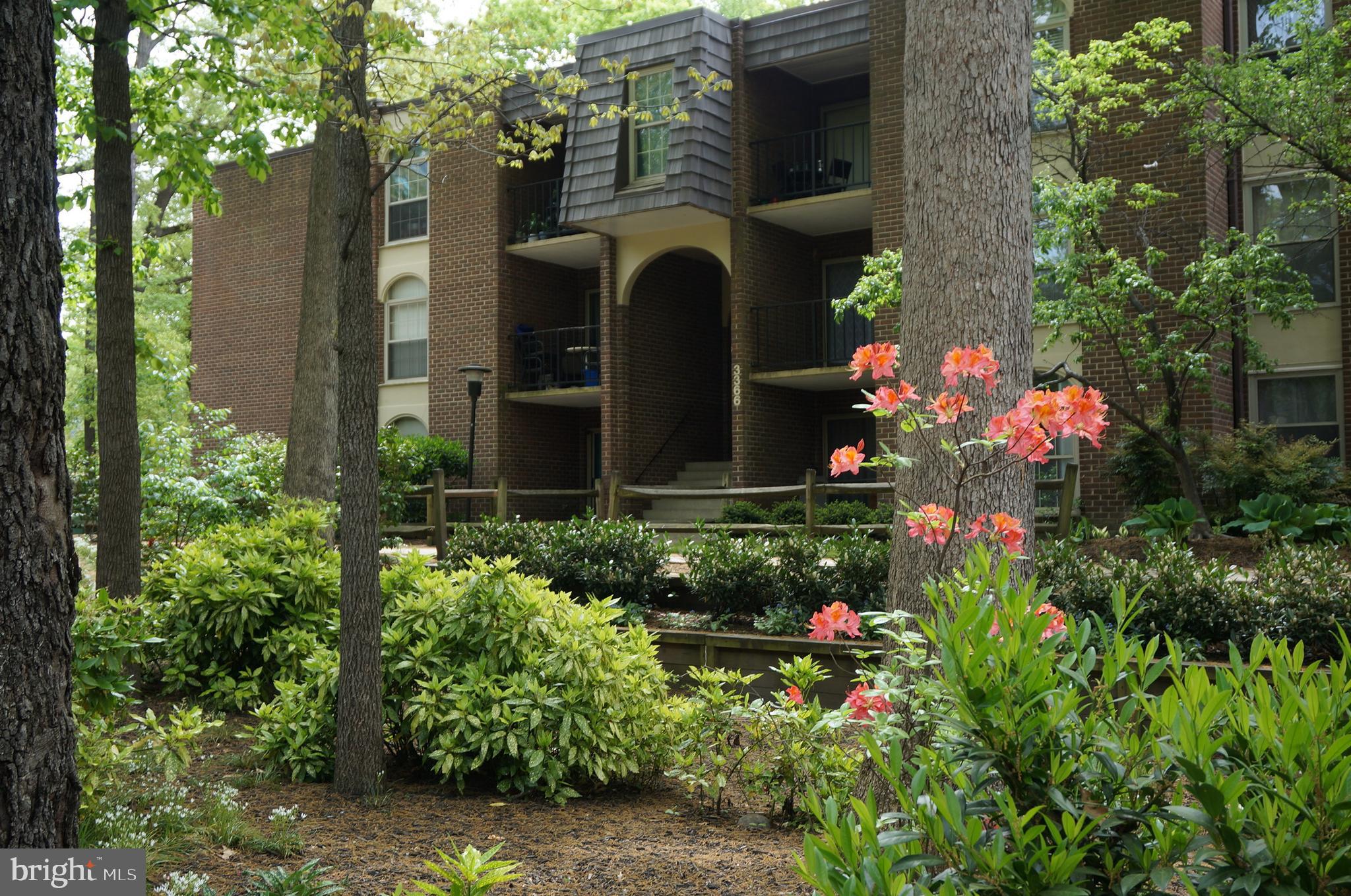 3366 WOODBURN ROAD 13