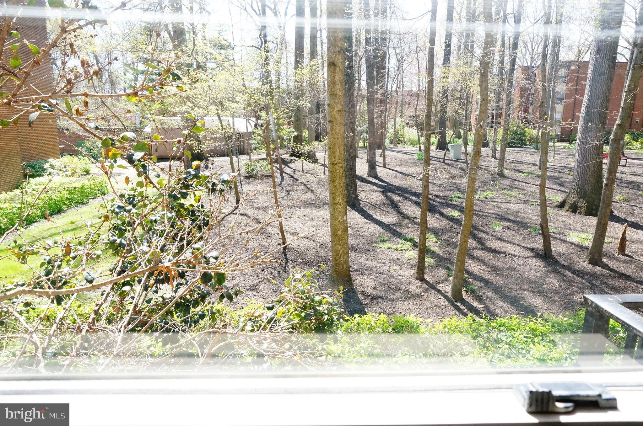 3366 WOODBURN ROAD 13