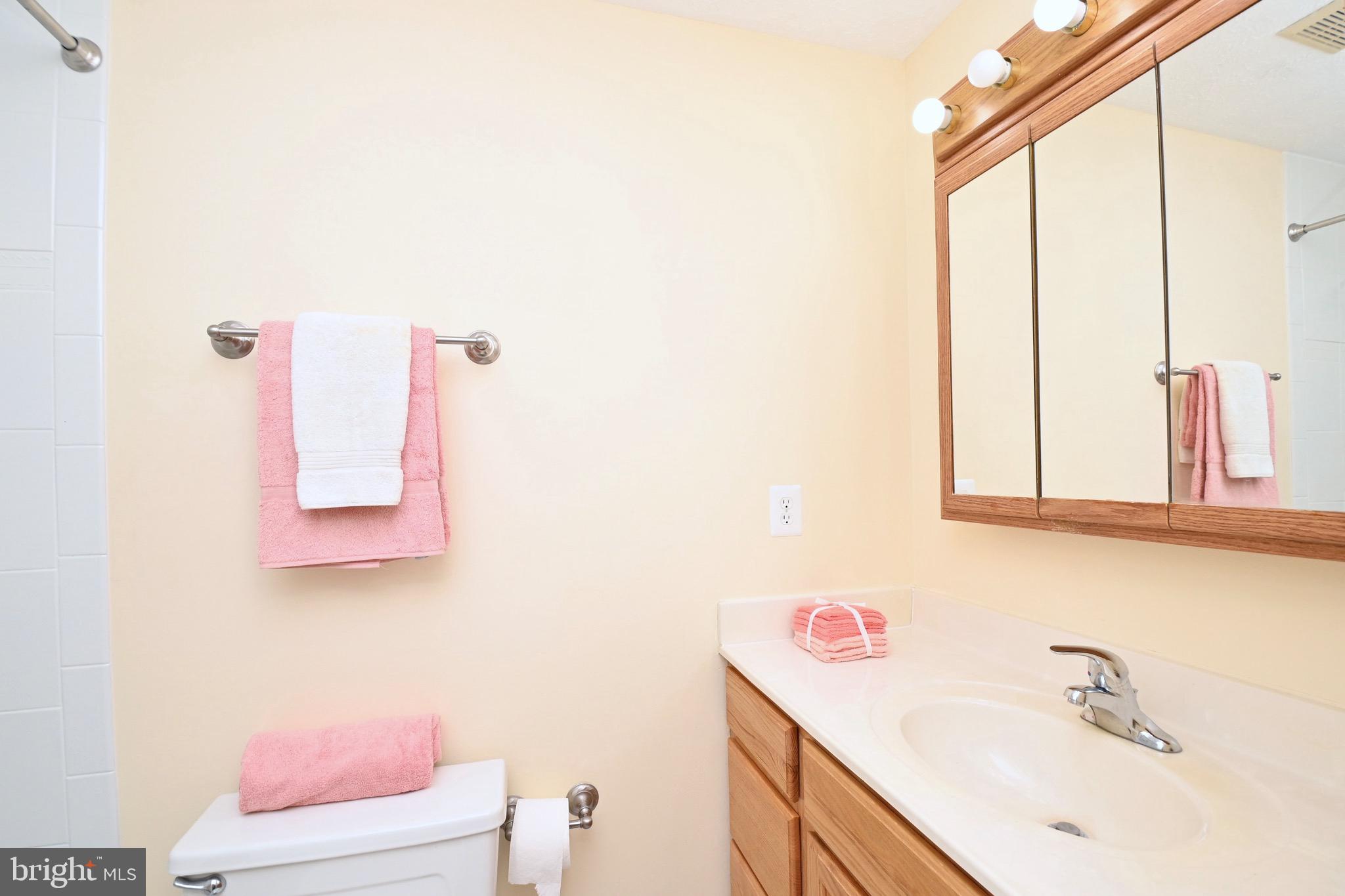 8113 WINTER BLUE COURT