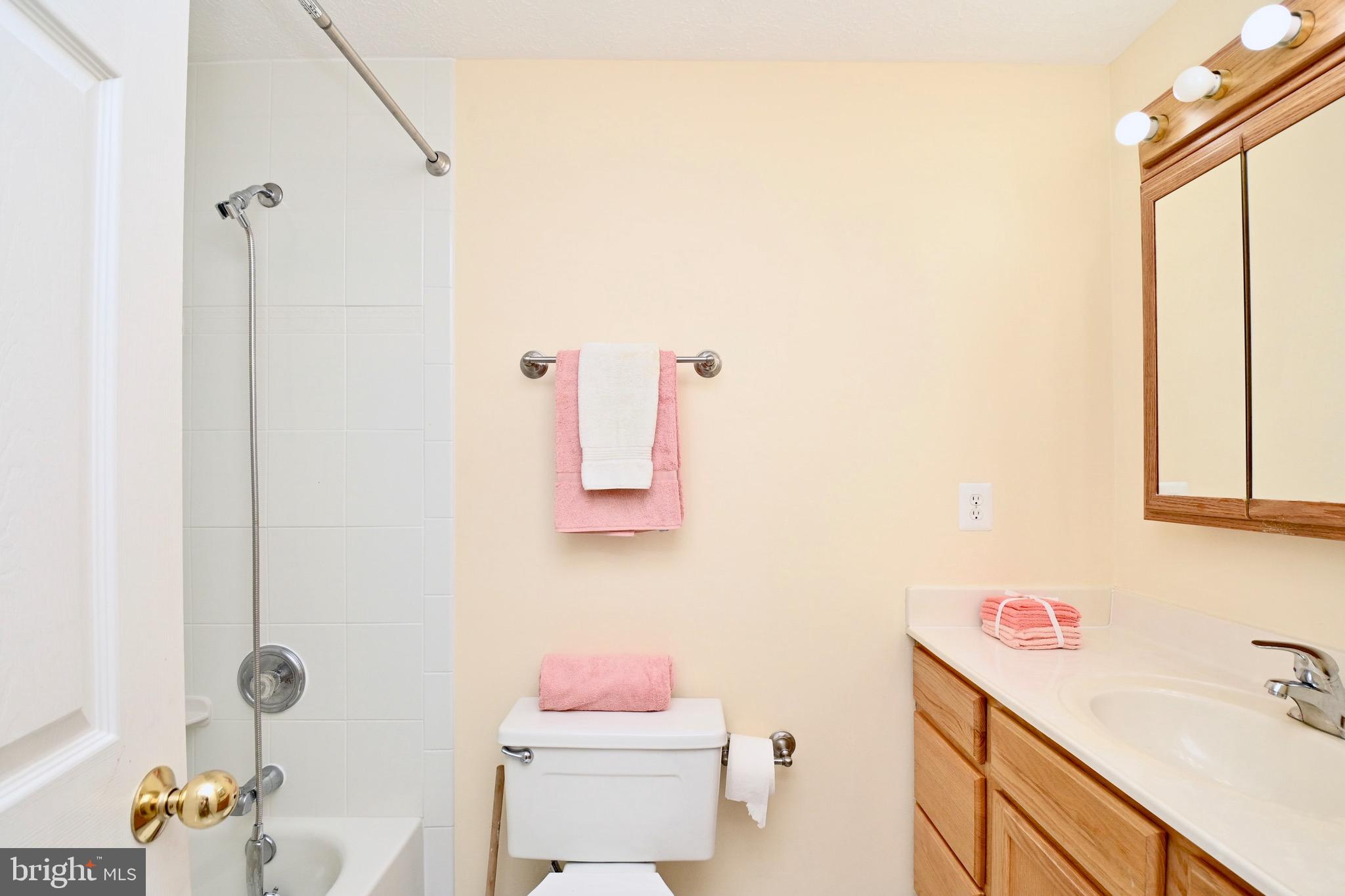 8113 WINTER BLUE COURT