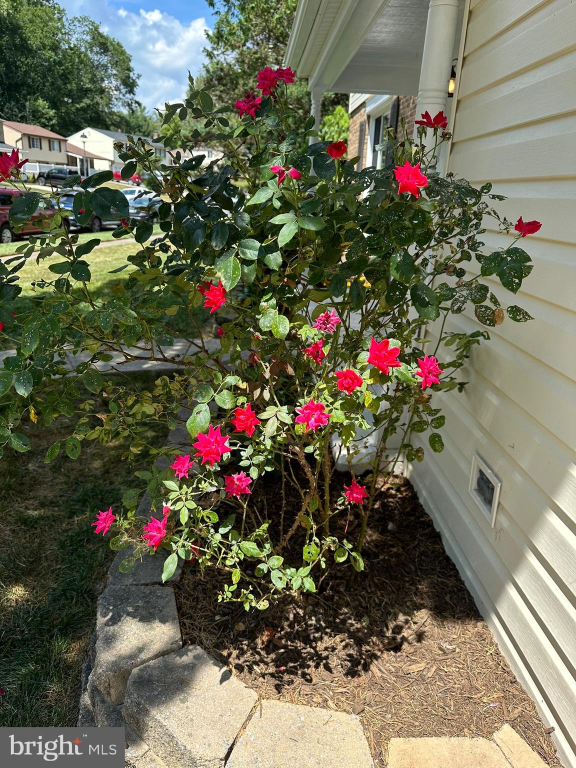 8113 WINTER BLUE COURT