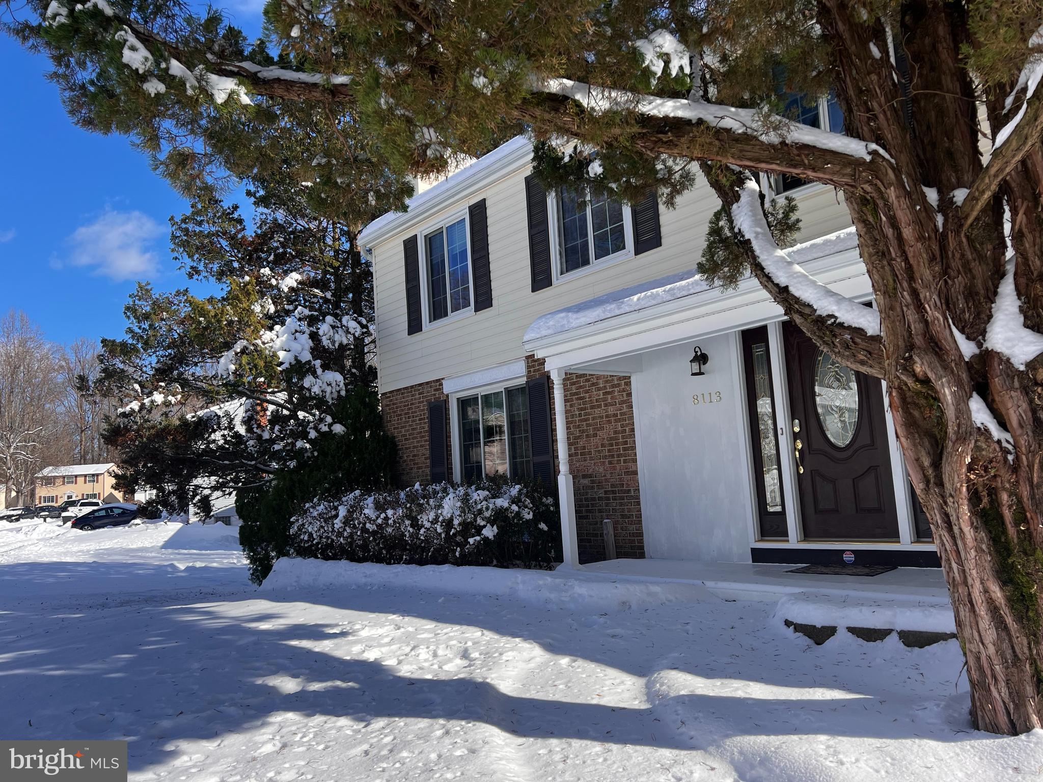 8113 WINTER BLUE COURT