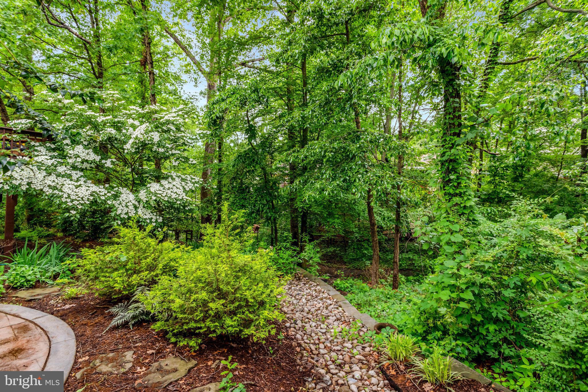 7006 MAPLE TREE LANE