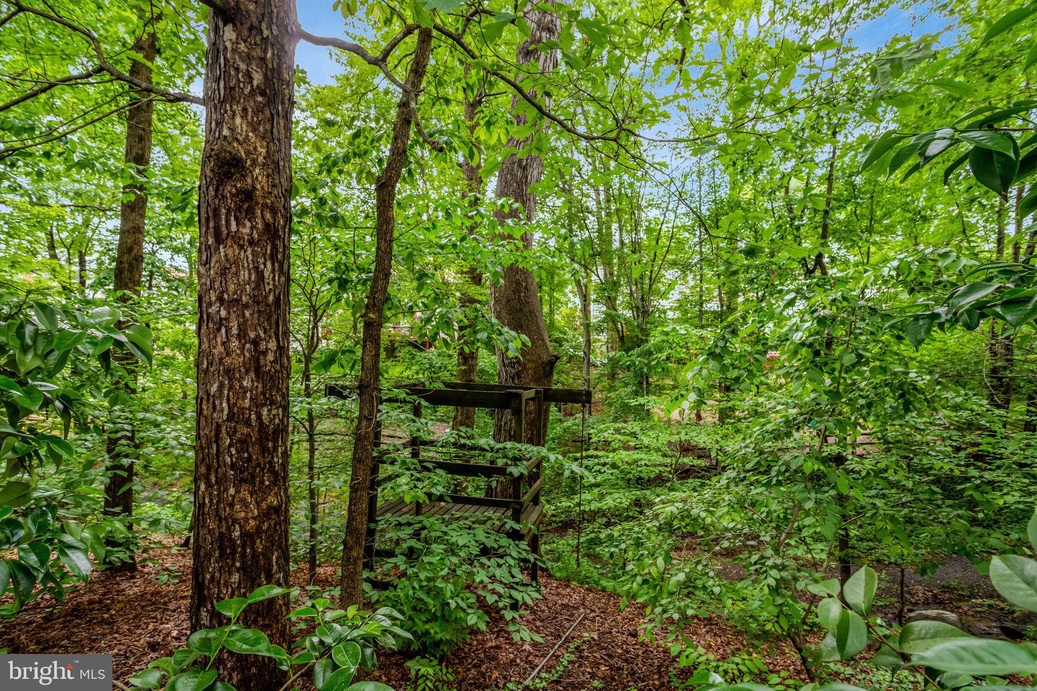 7006 MAPLE TREE LANE