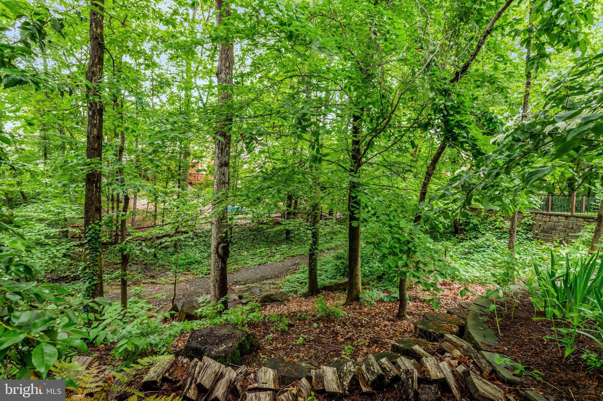 7006 MAPLE TREE LANE